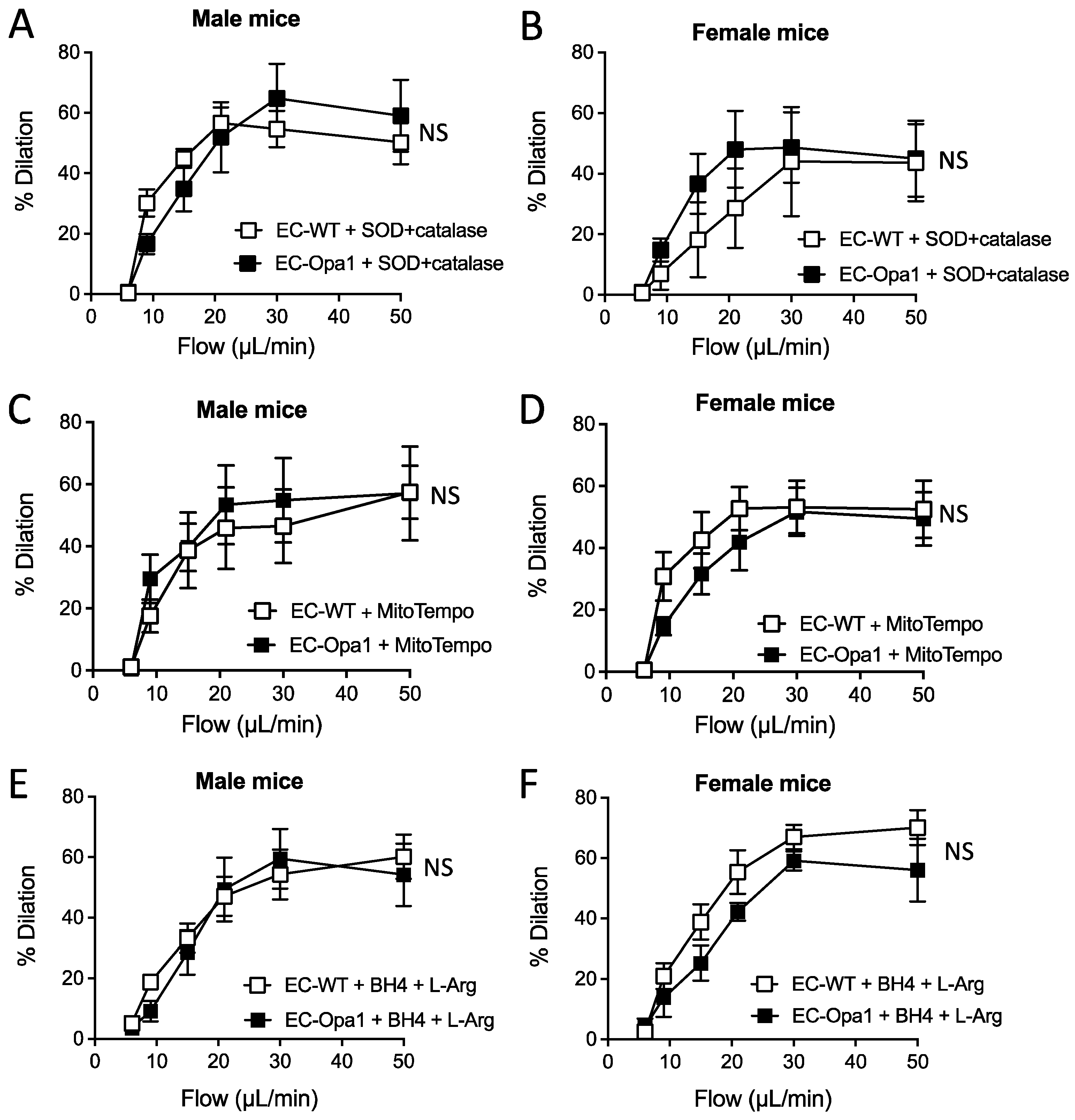 Antioxidants 11 01078 g005 Antioxidants 11 01078 g005