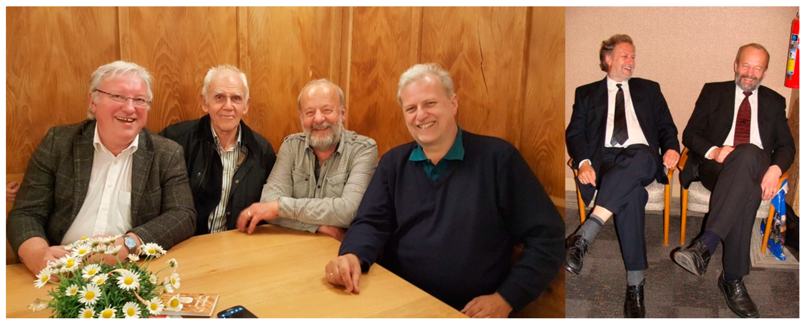 Antioxidants 11 01079 g002