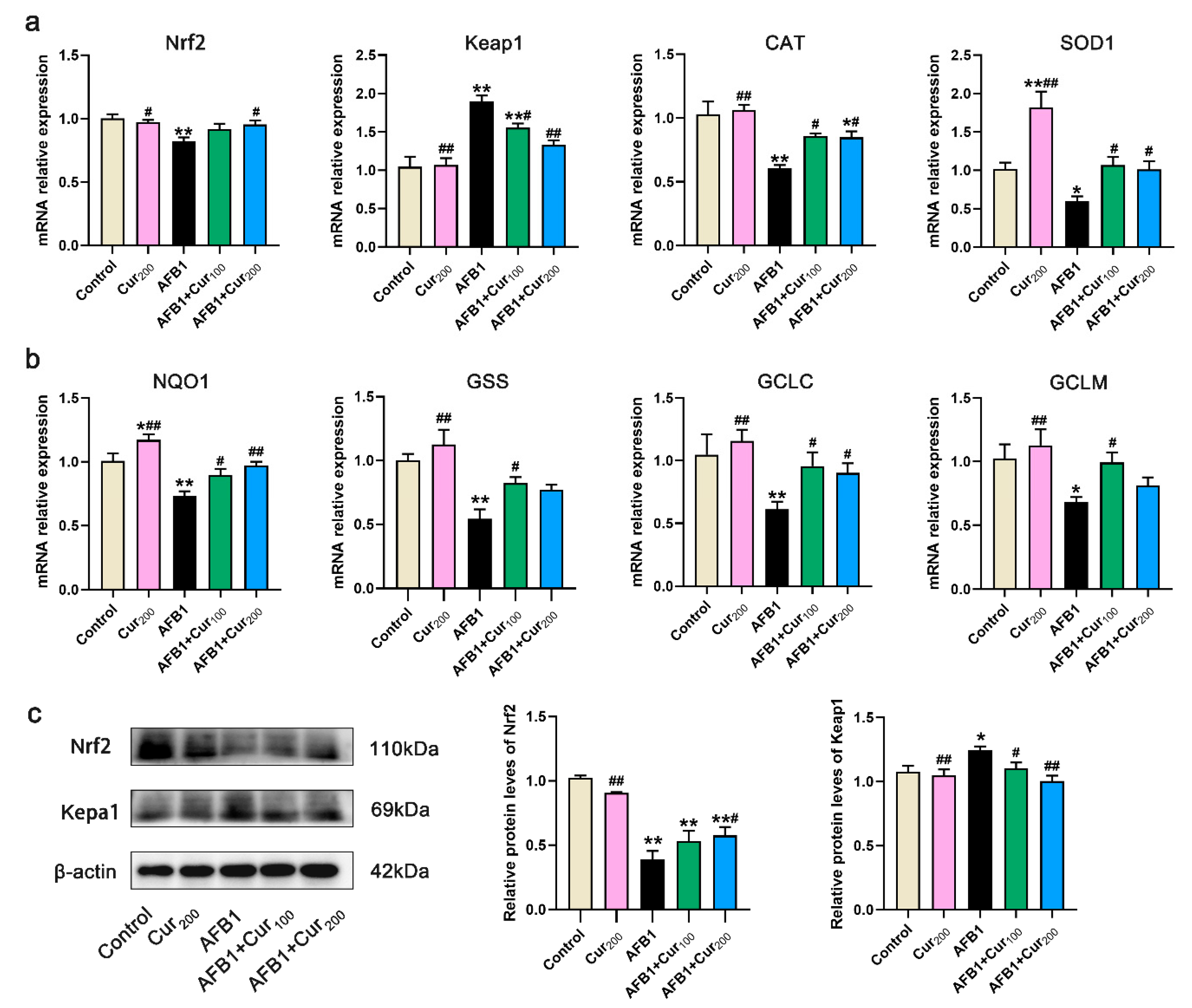 Antioxidants 11 01082 g005