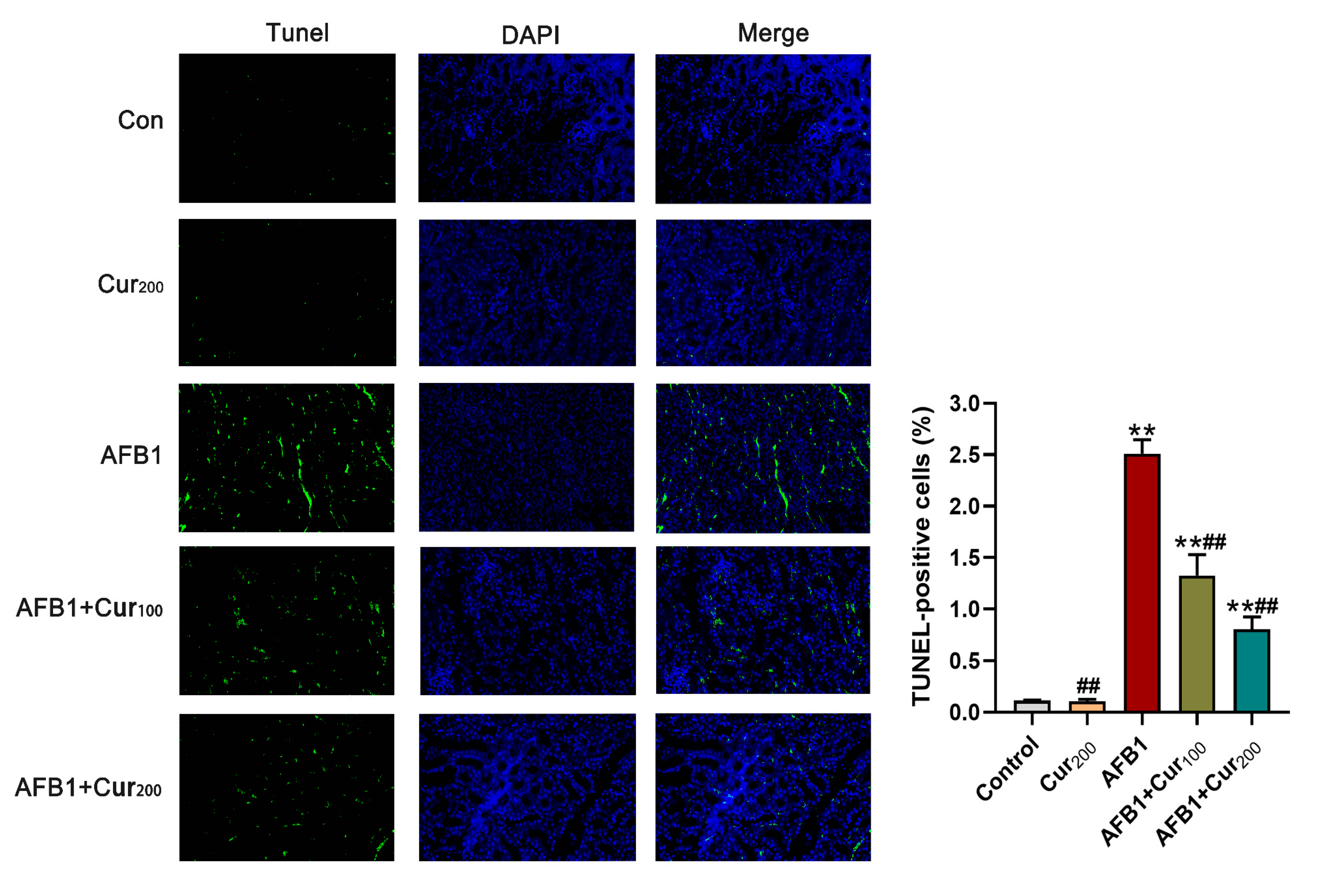 Antioxidants 11 01082 g006