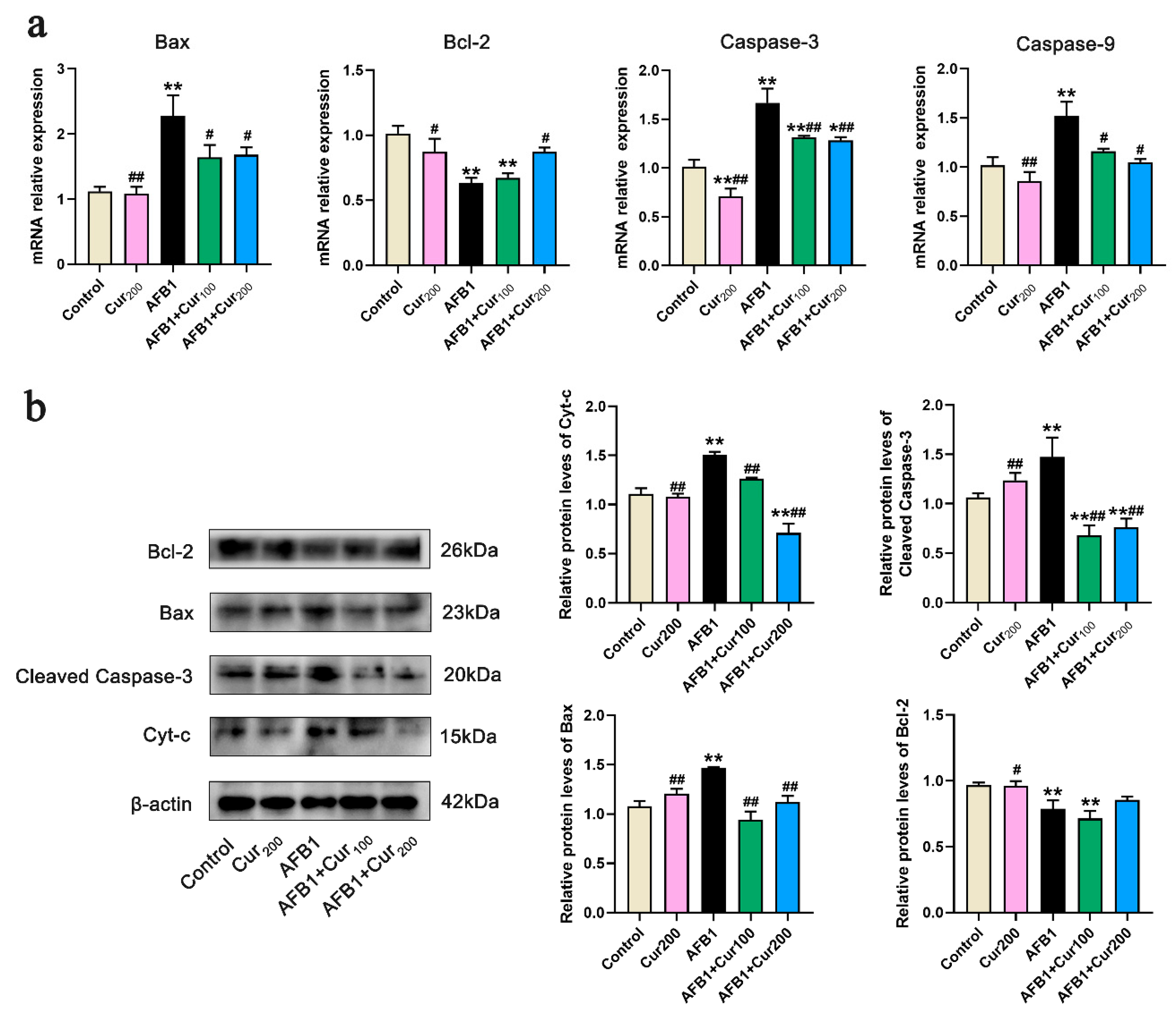 Antioxidants 11 01082 g007