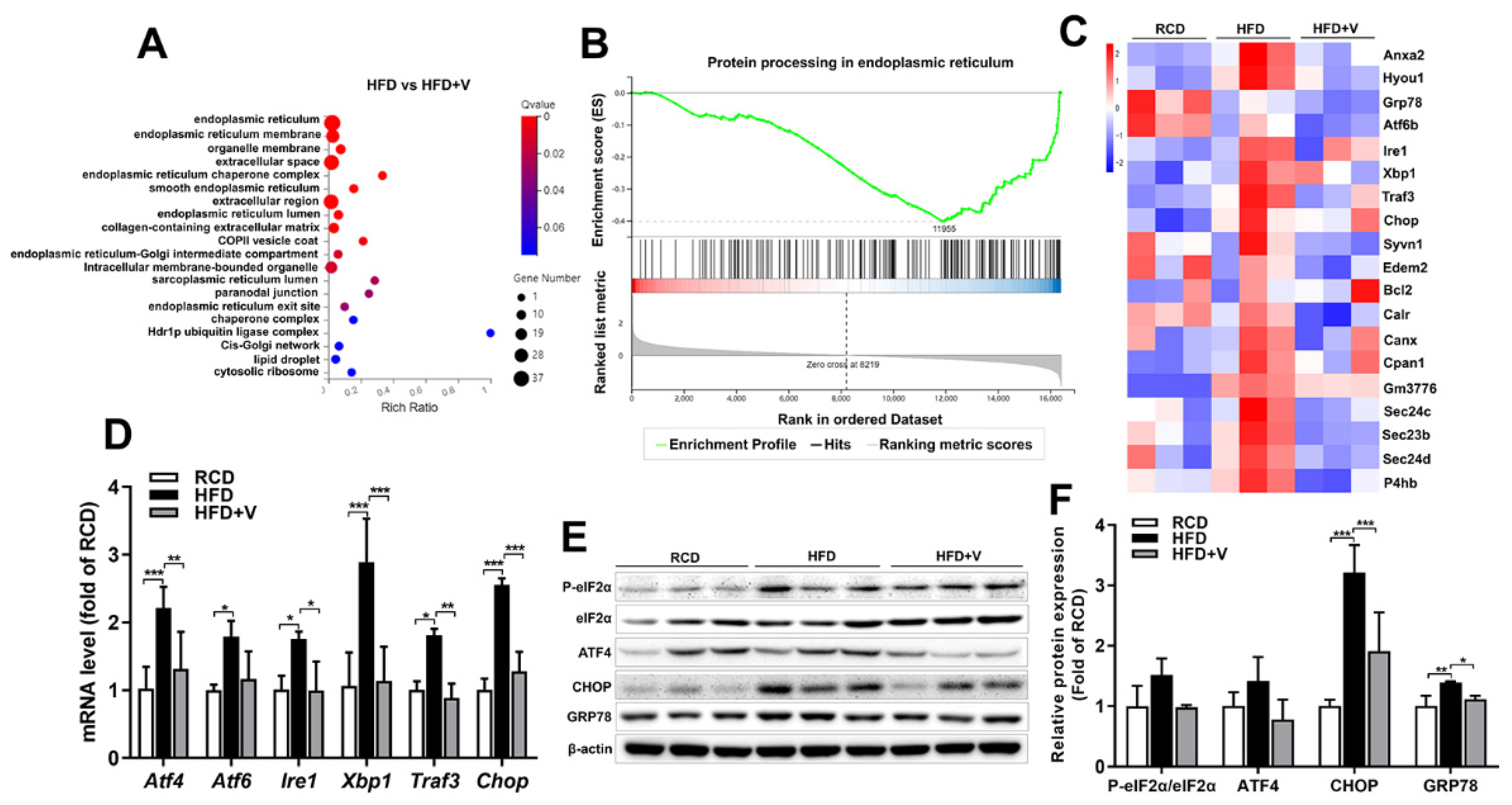 Antioxidants 11 01093 g006