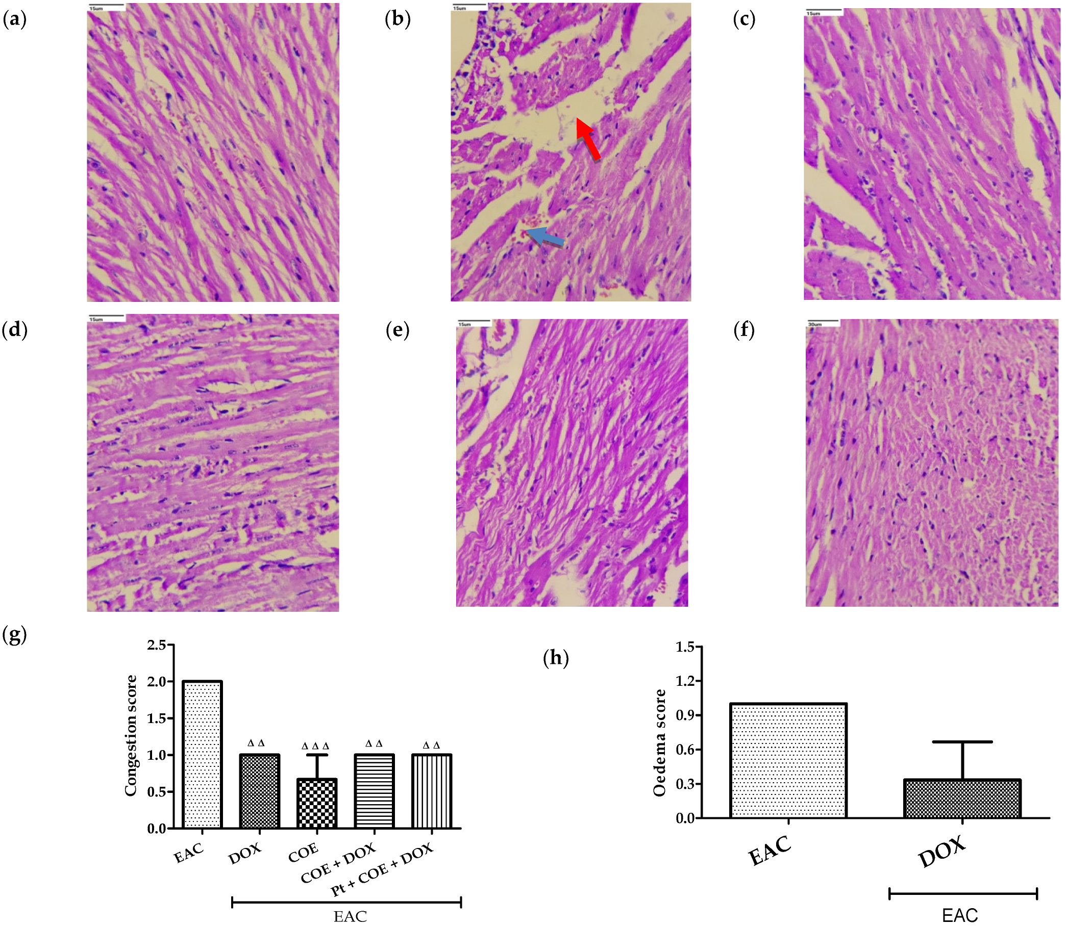 Antioxidants 11 01094 g004