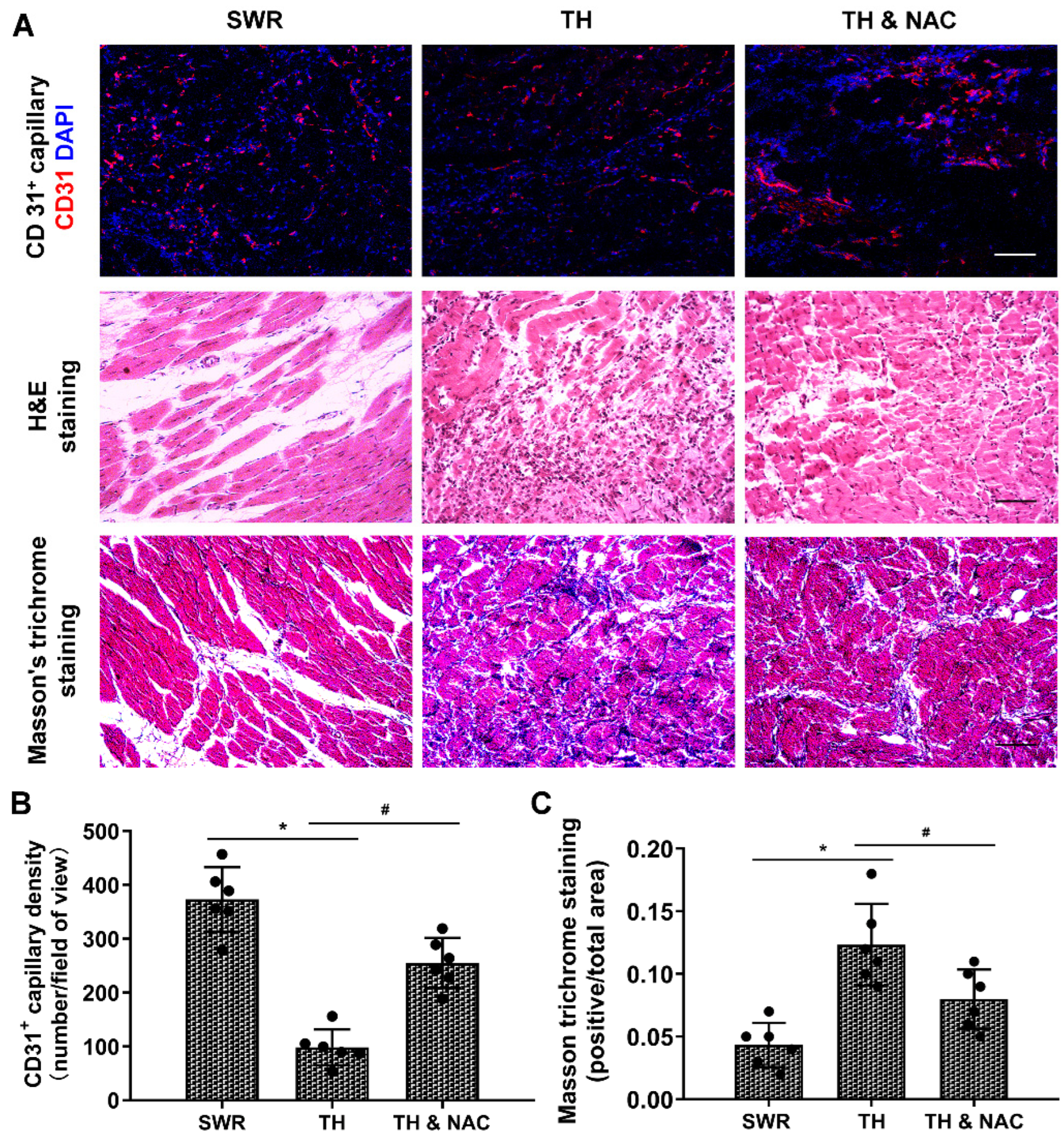 Antioxidants 11 01097 g004 550
