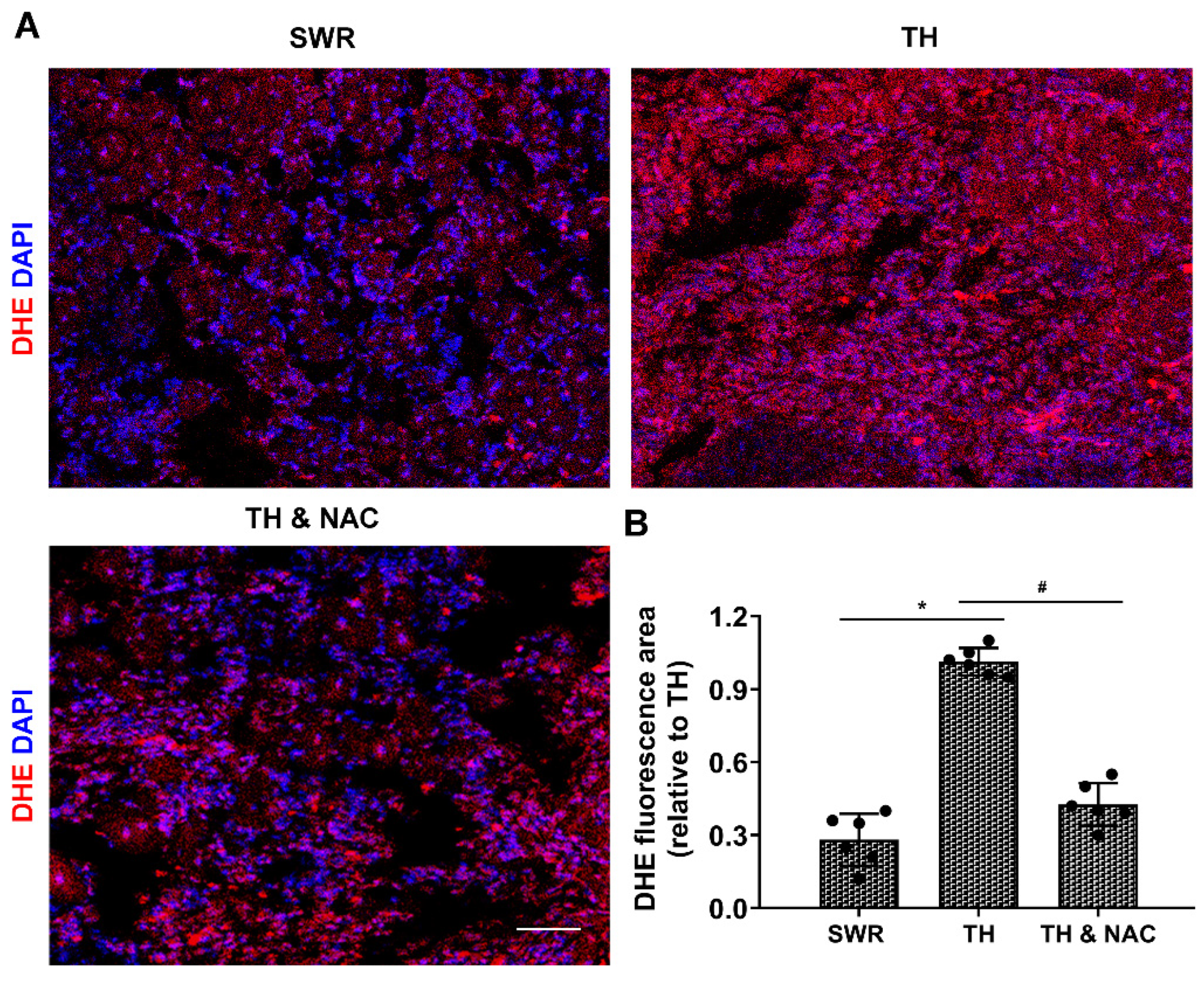 Antioxidants 11 01097 g005 550