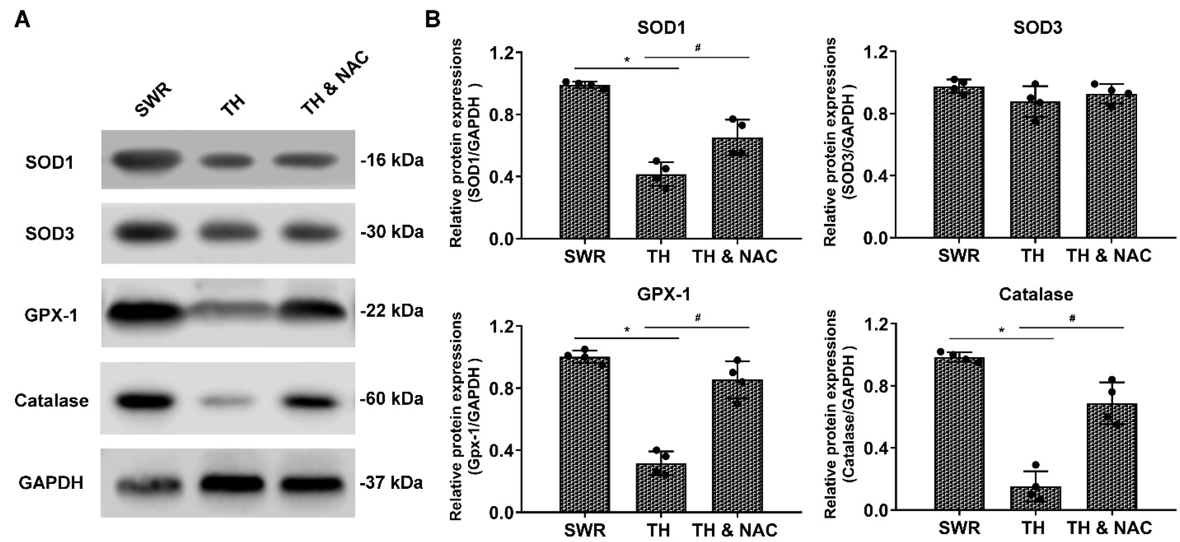 Antioxidants 11 01097 g006 550