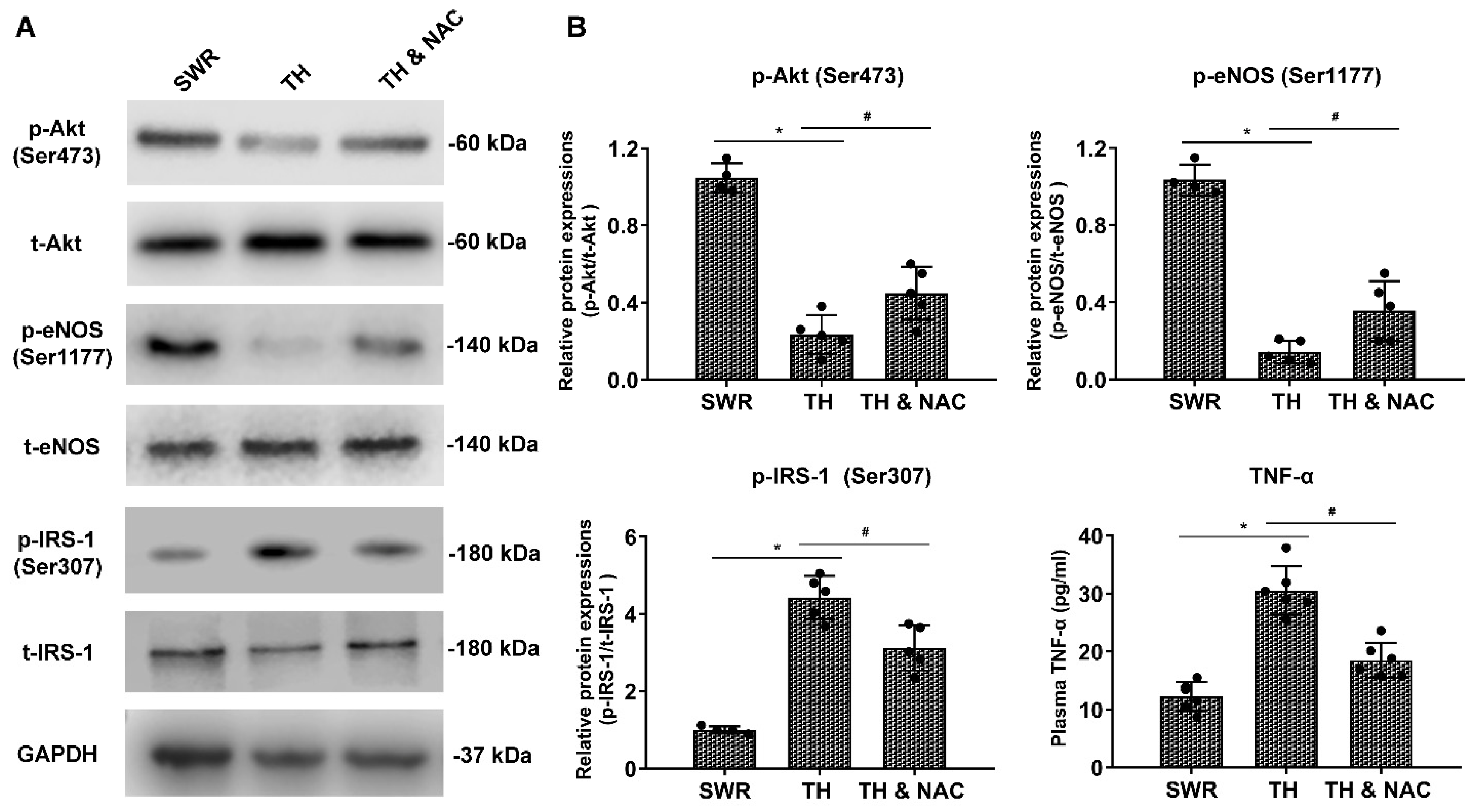 Antioxidants 11 01097 g007 550