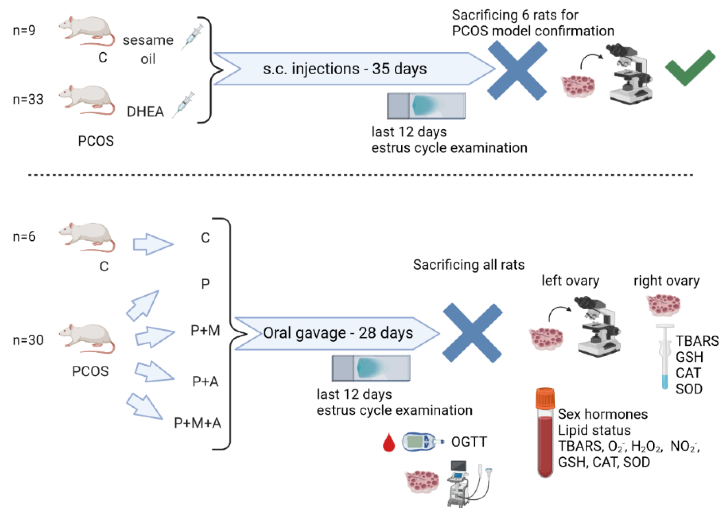 Antioxidants 11 01099 g001