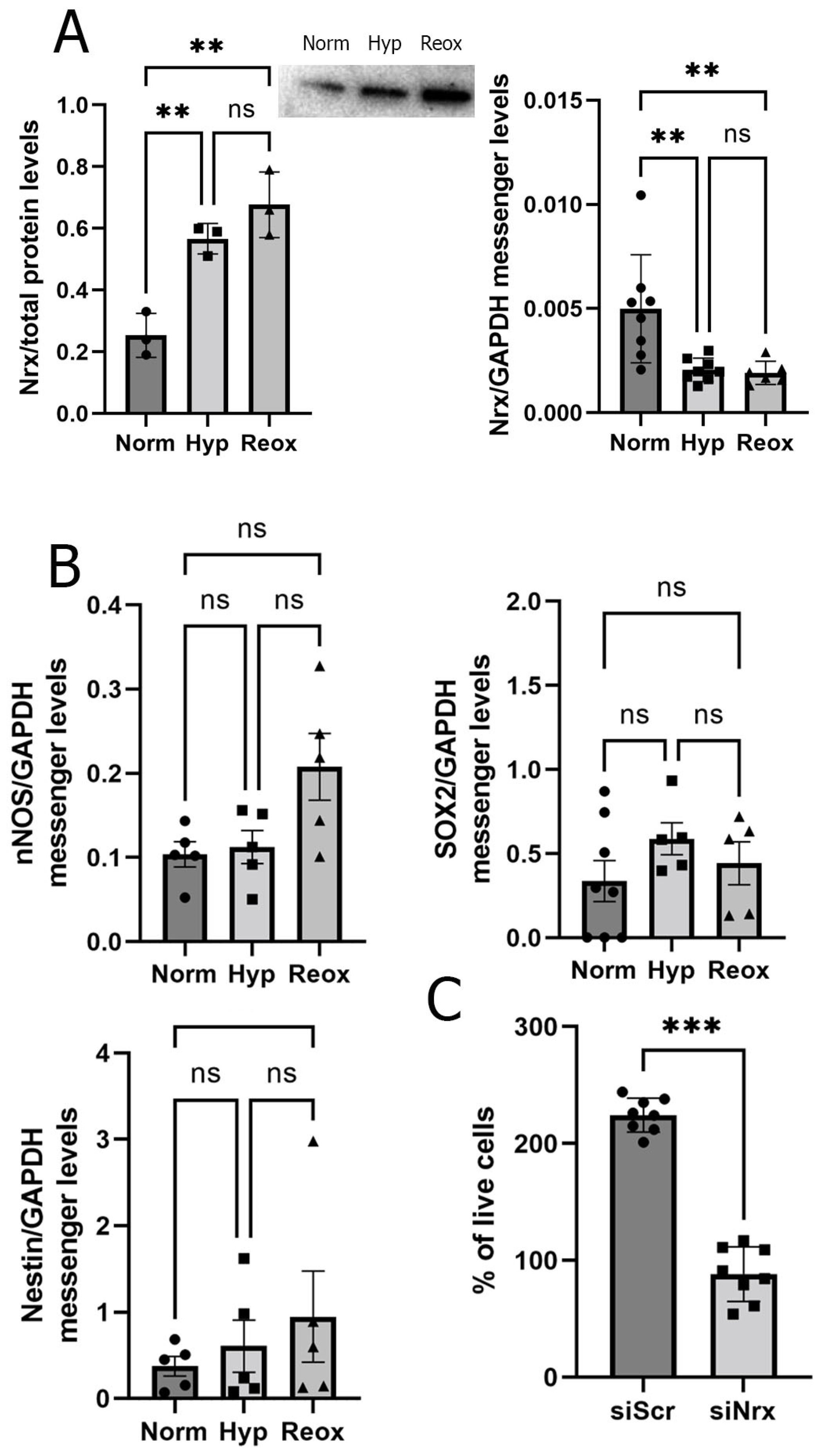 Antioxidants 11 01106 g002 550