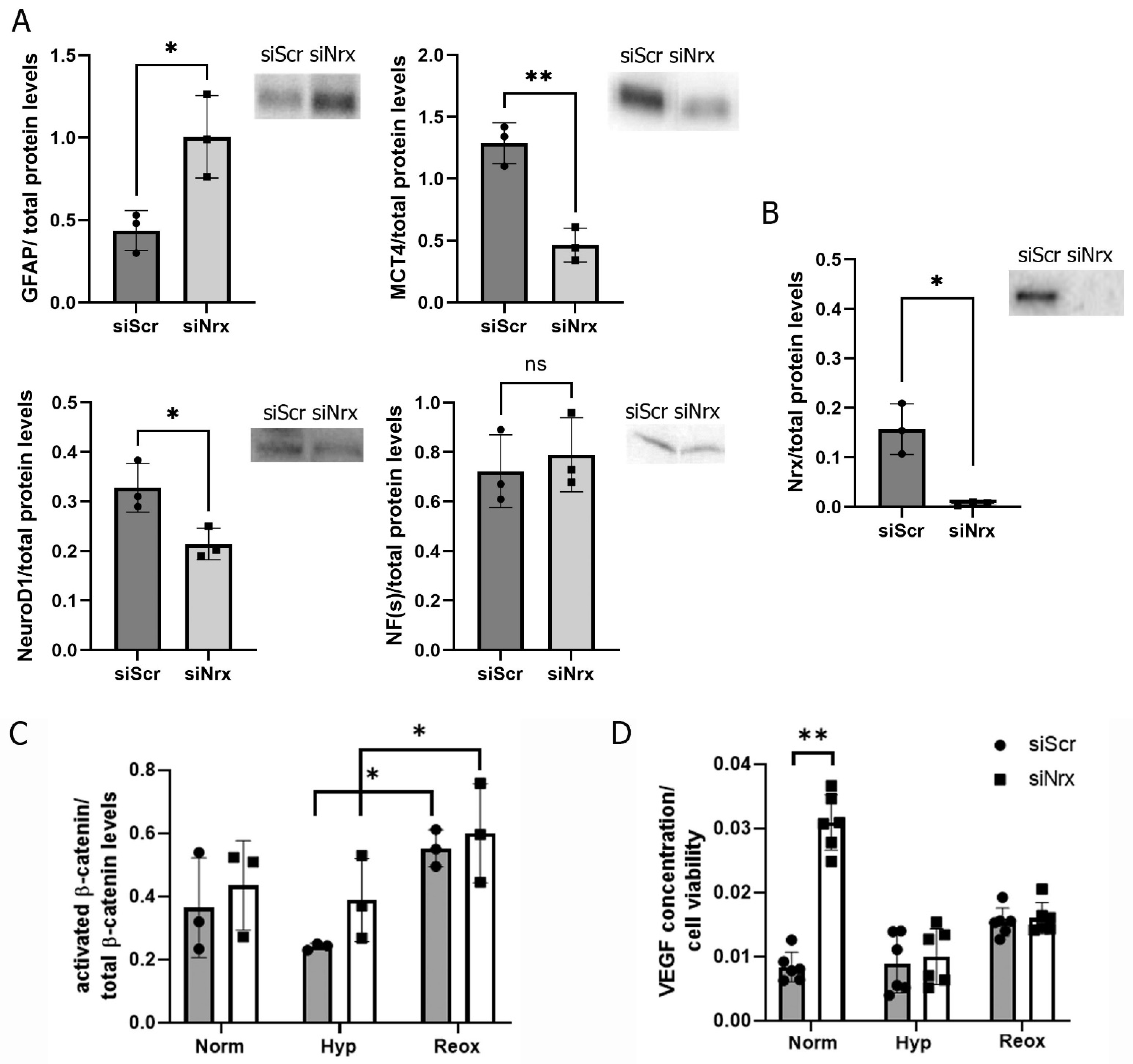 Antioxidants 11 01106 g003 550