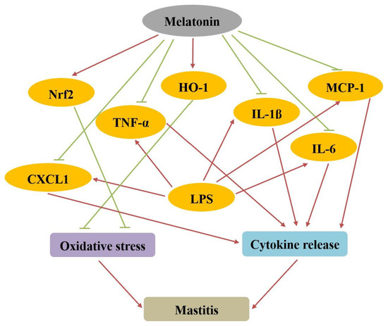 エムアイ Versatile polymer-supported argyrodite-type sulfide solid