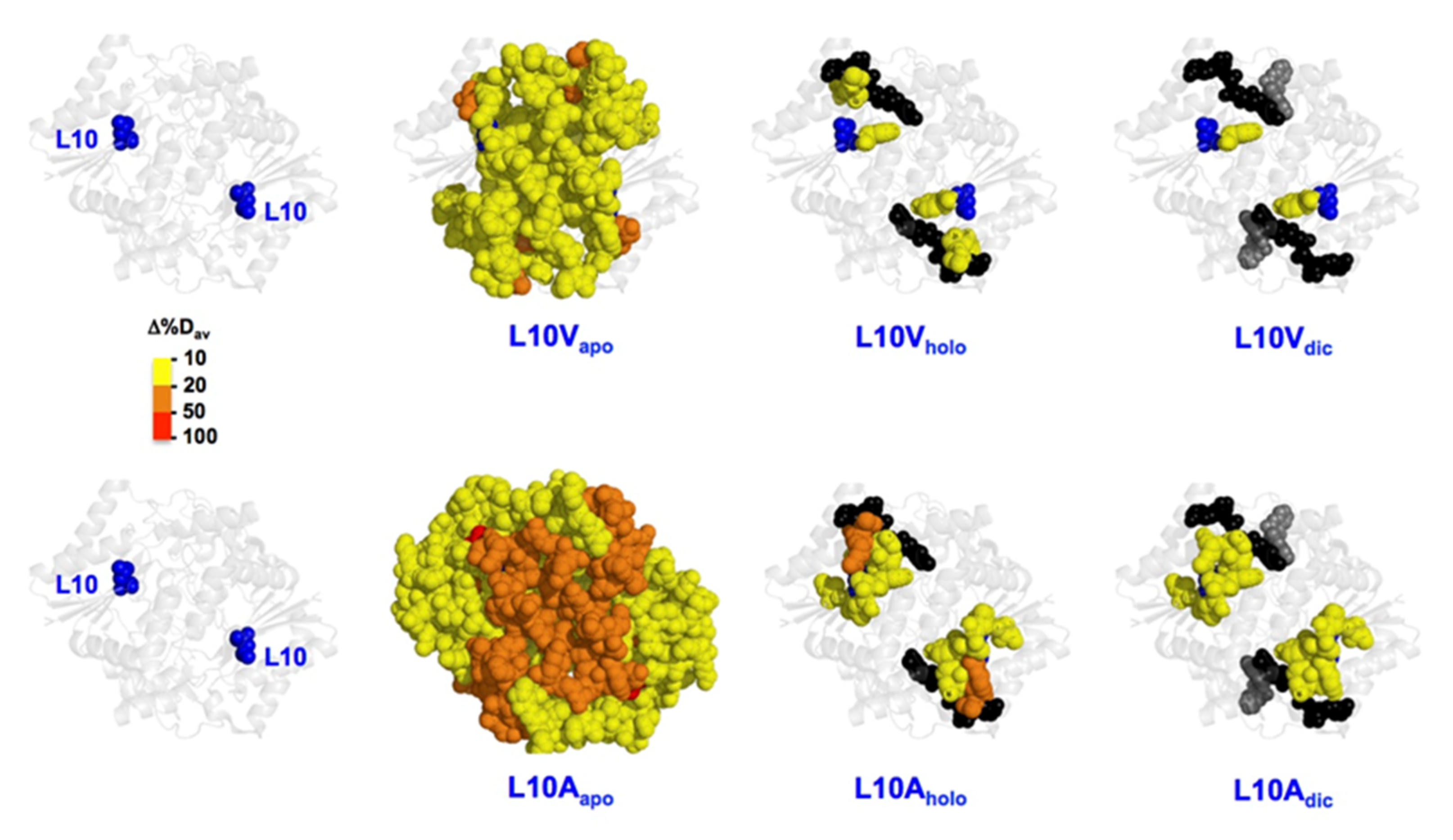 Antioxidants 11 01110 g007