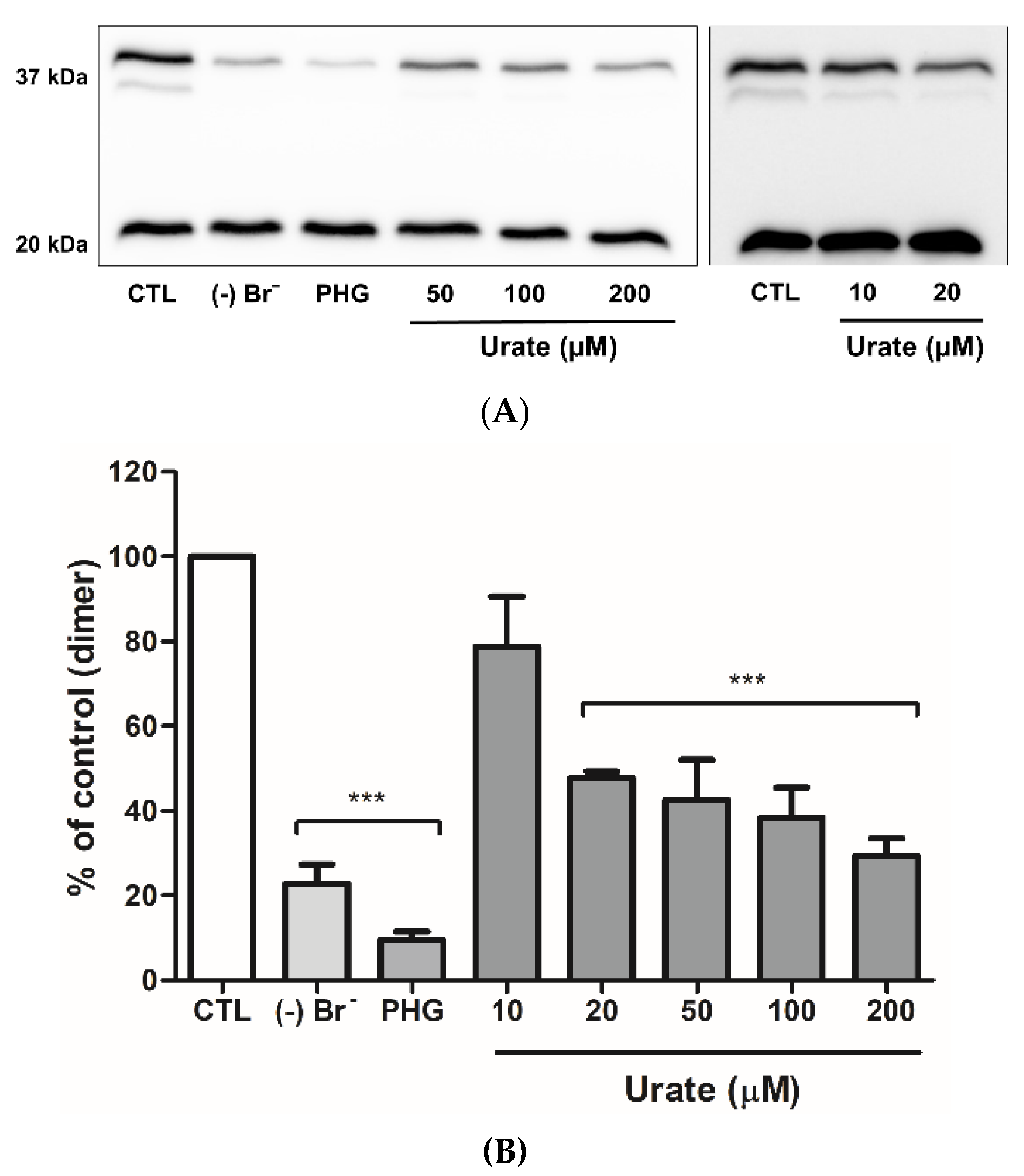 Antioxidants 11 01117 g005 550