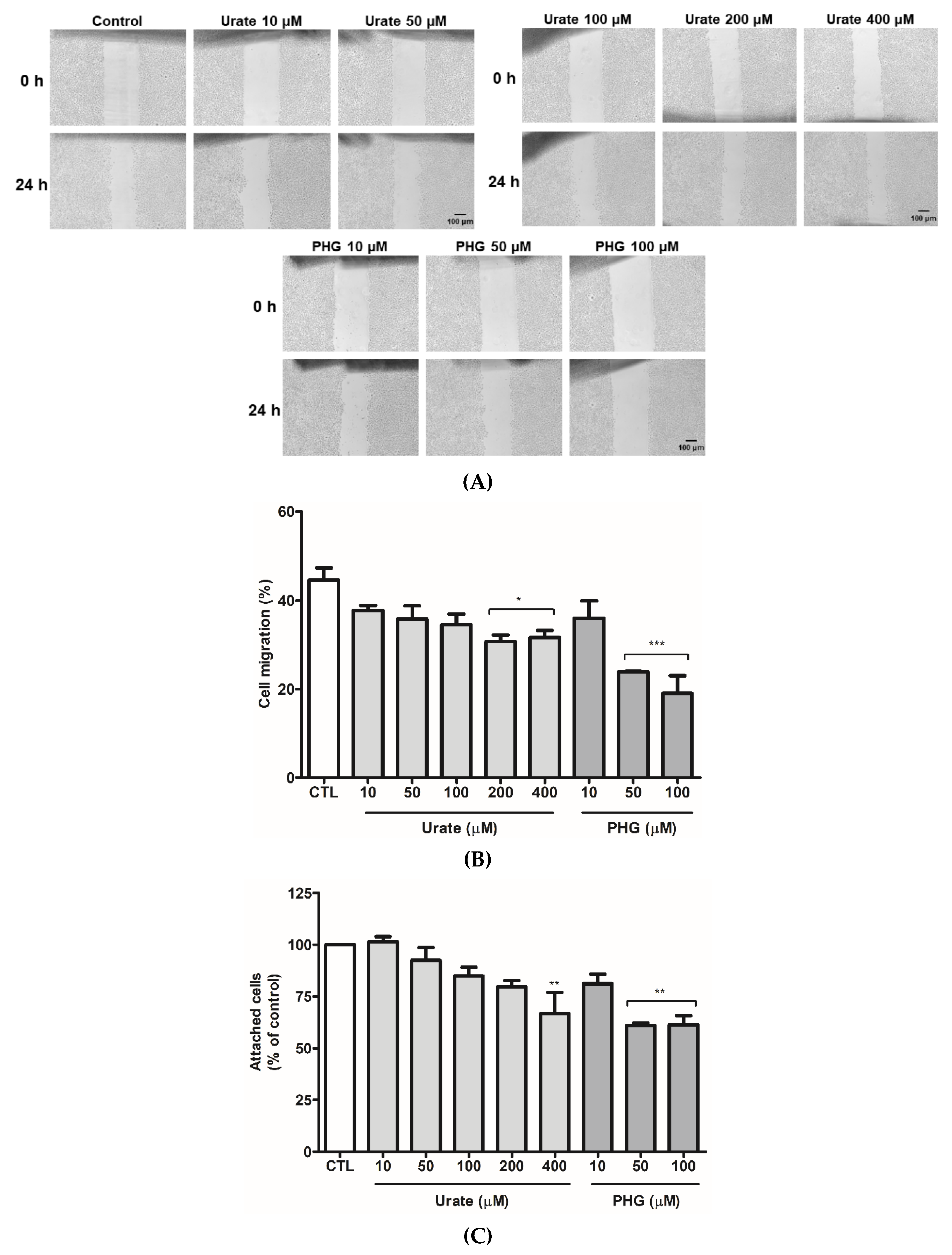 Antioxidants 11 01117 g006a 550