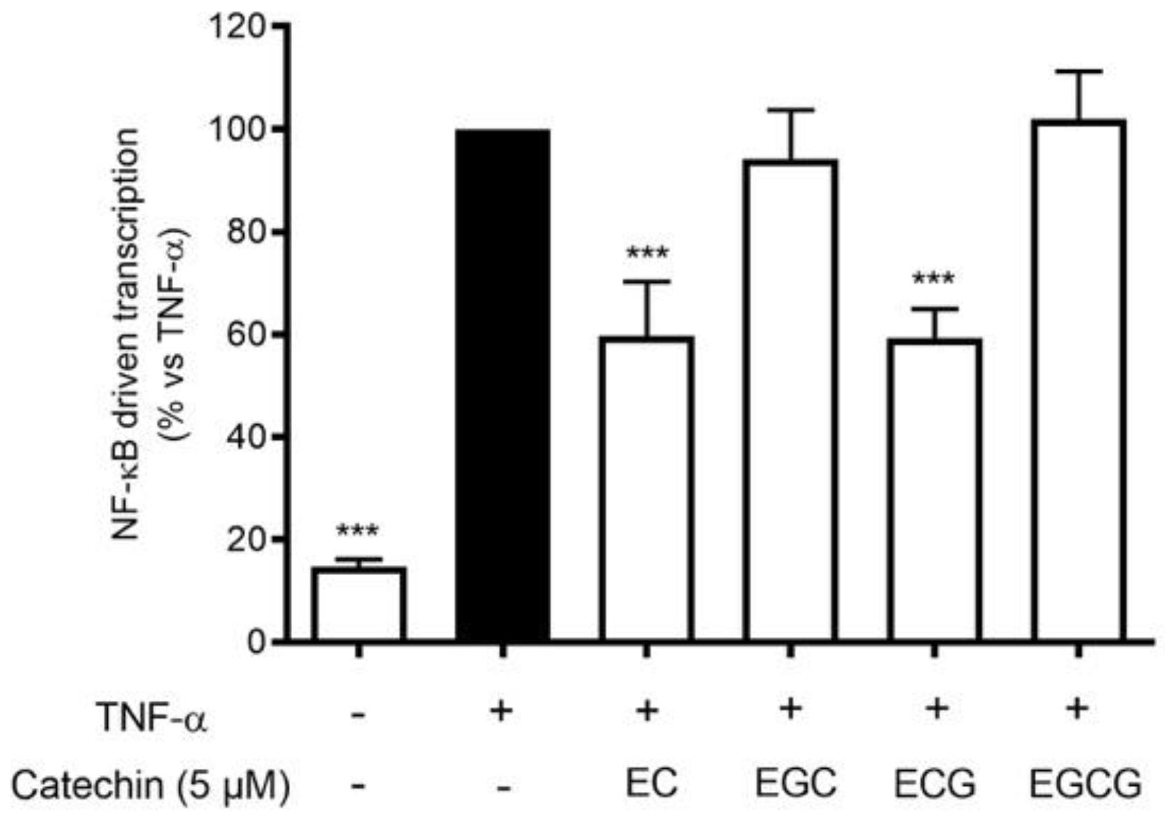 Antioxidants 11 01119 g007