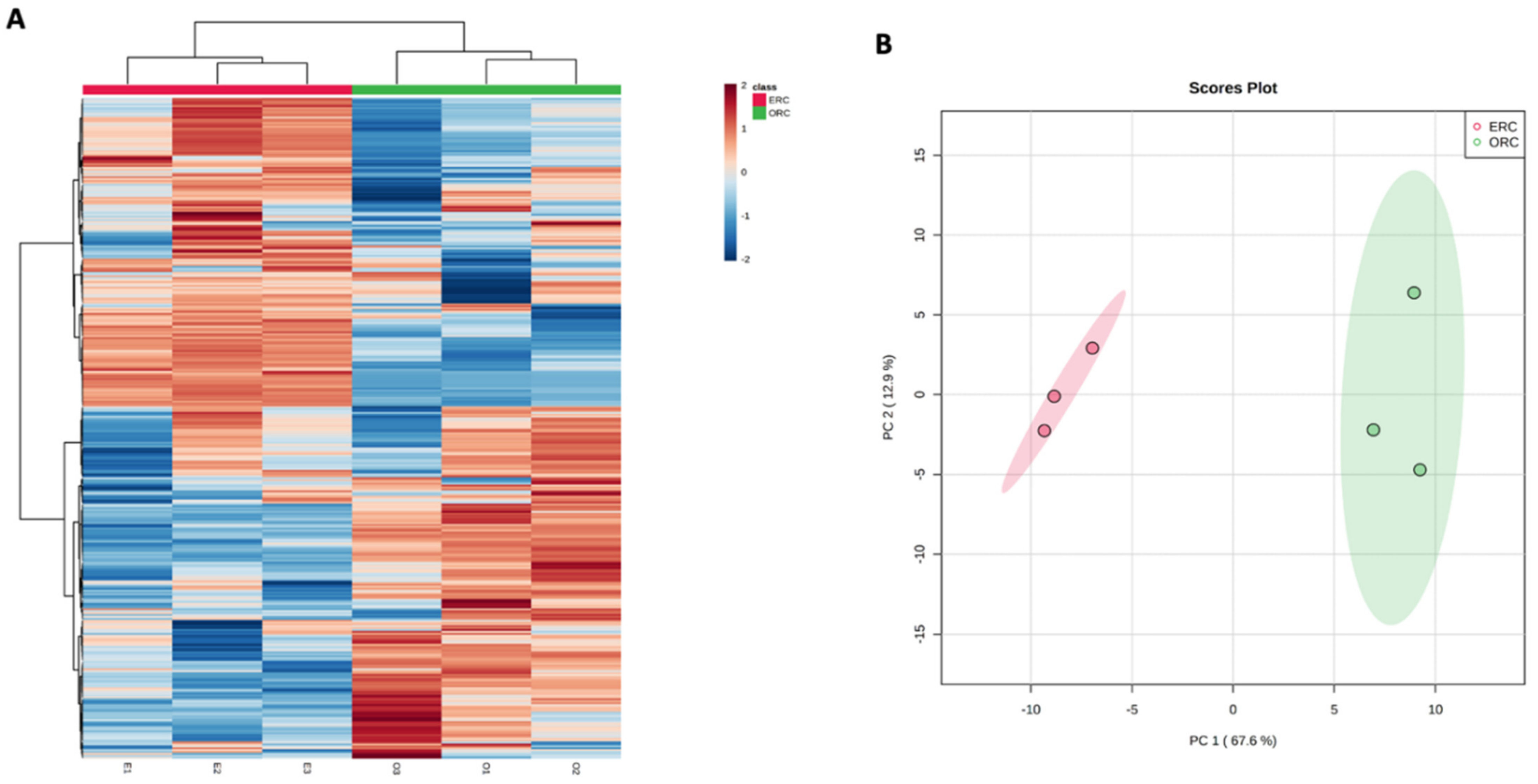 Antioxidants 11 01123 g006