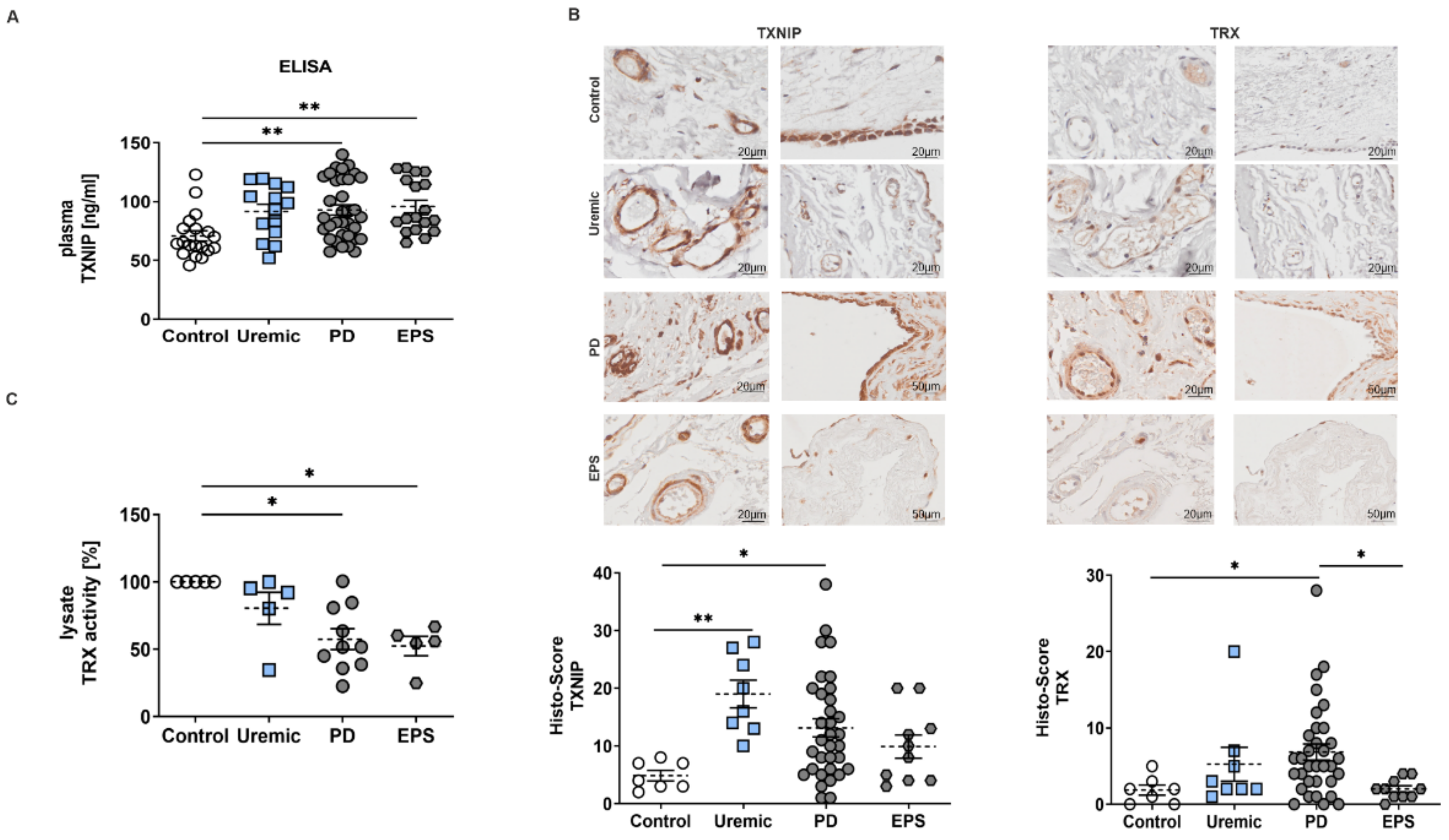 Antioxidants 11 01124 g001 550