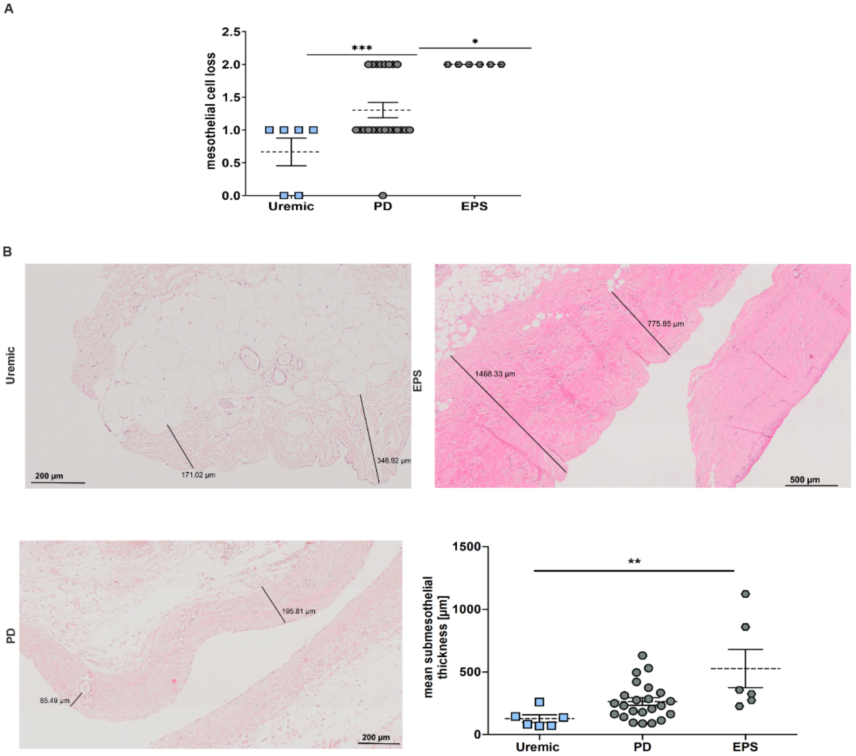 Antioxidants 11 01124 g002 550