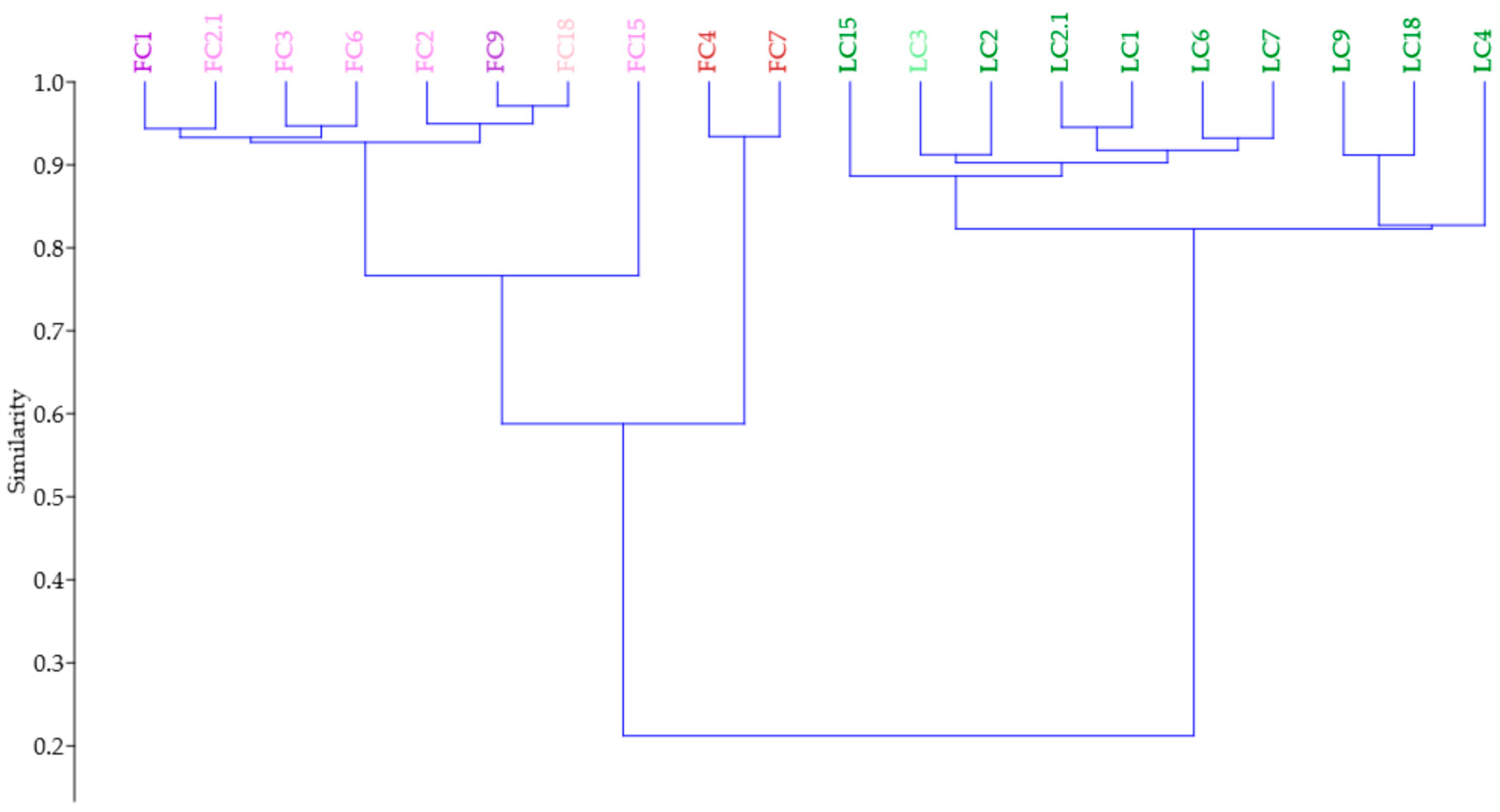 Antioxidants 11 01126 g008