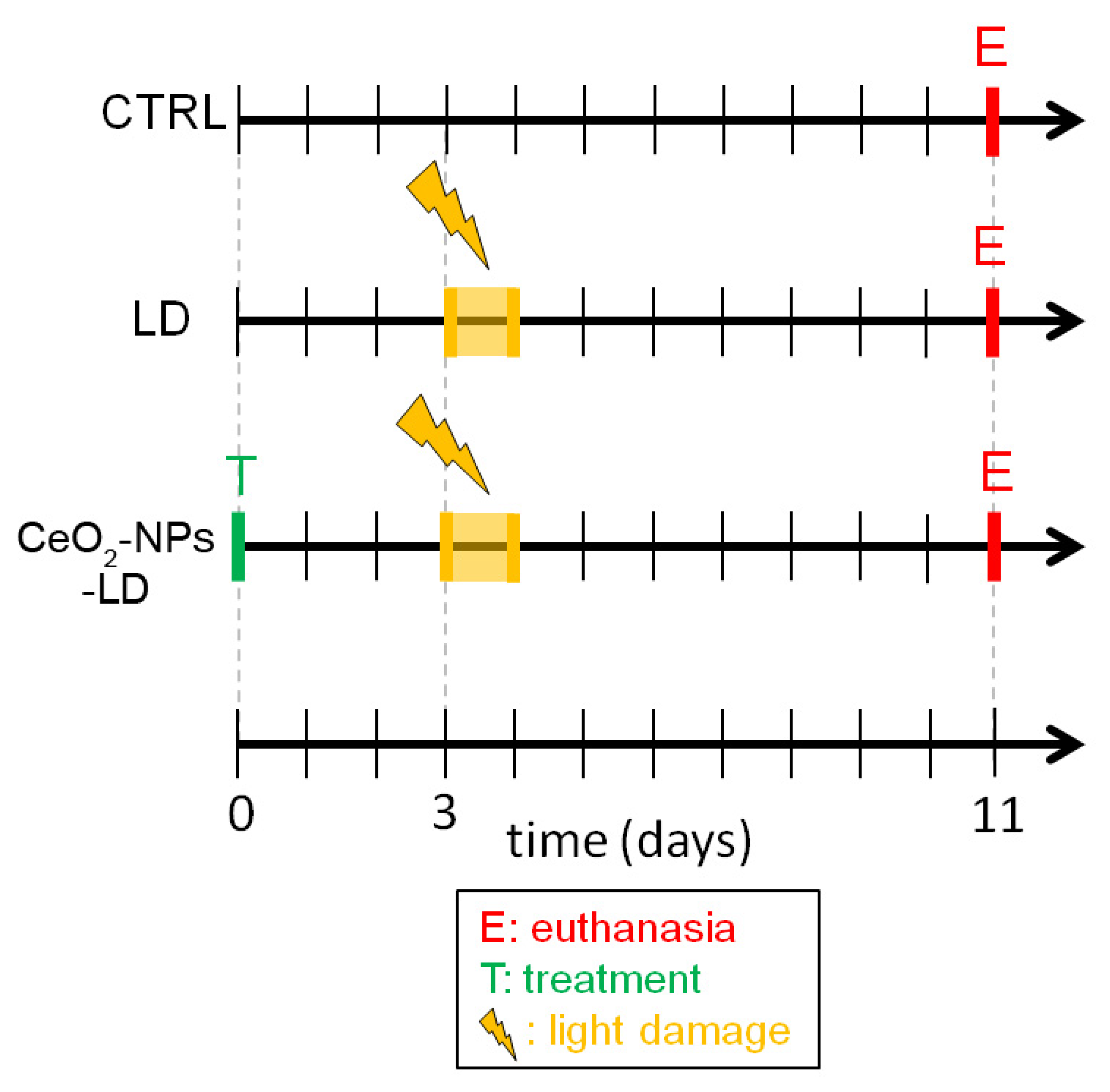 Antioxidants 11 01133 g001 550
