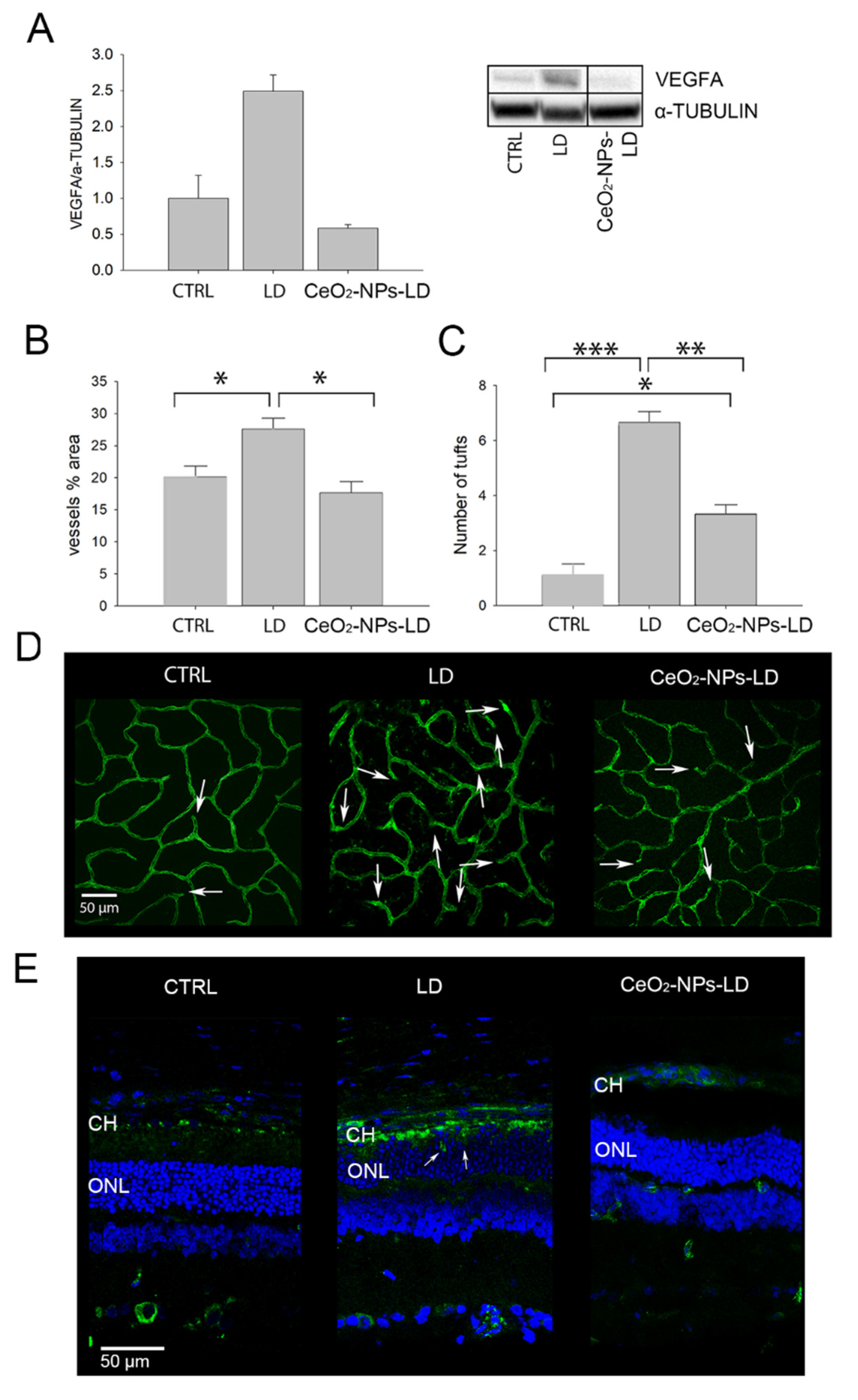 Antioxidants 11 01133 g003 550