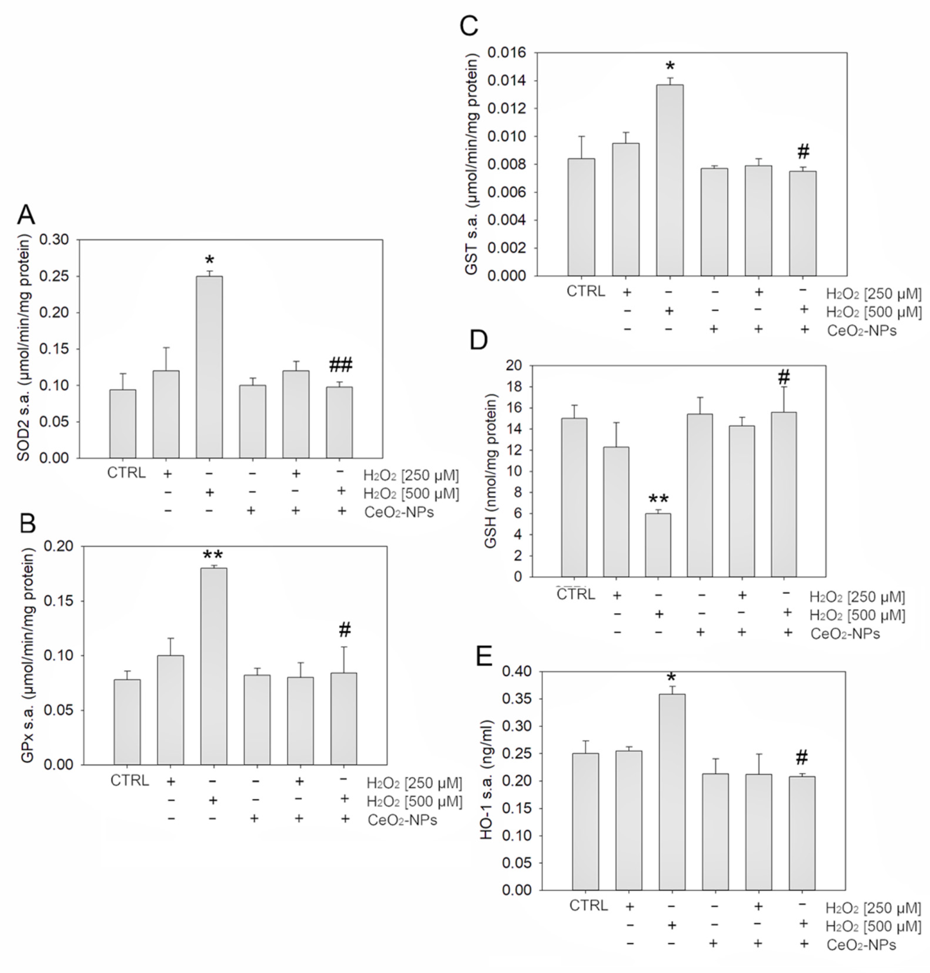 Antioxidants 11 01133 g004 550