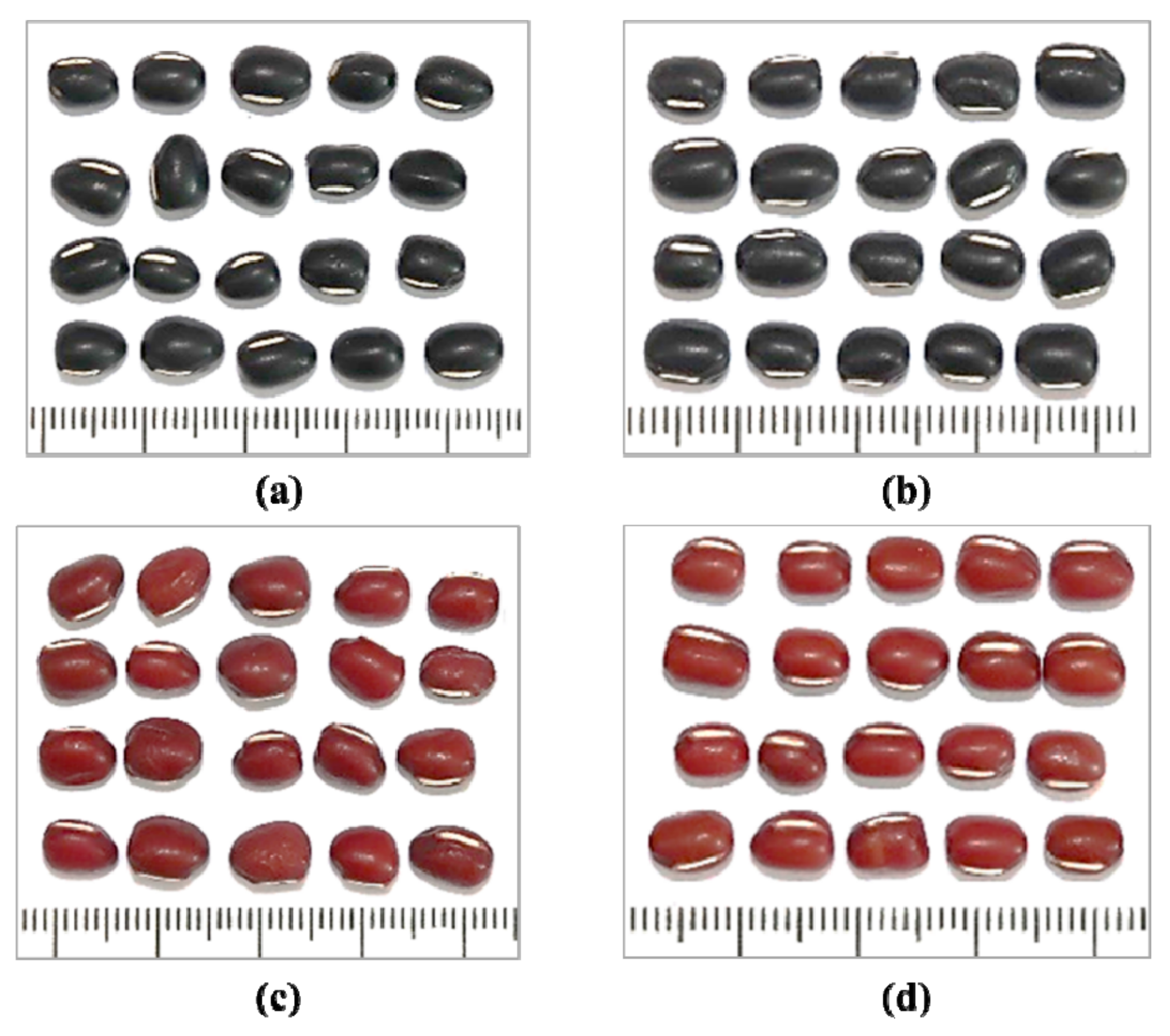 Antioxidants 11 01134 g001