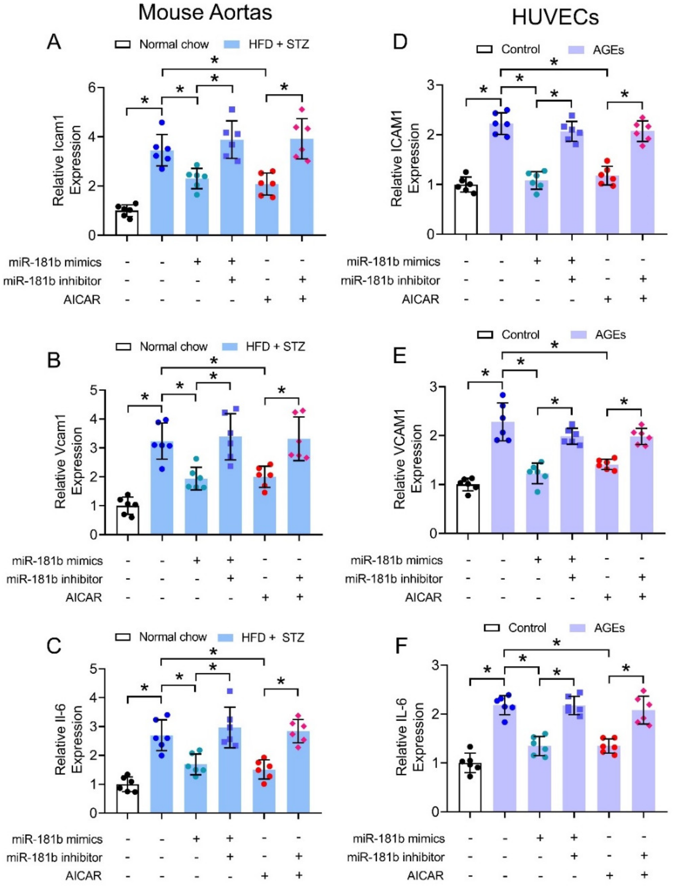 Antioxidants 11 01137 g004