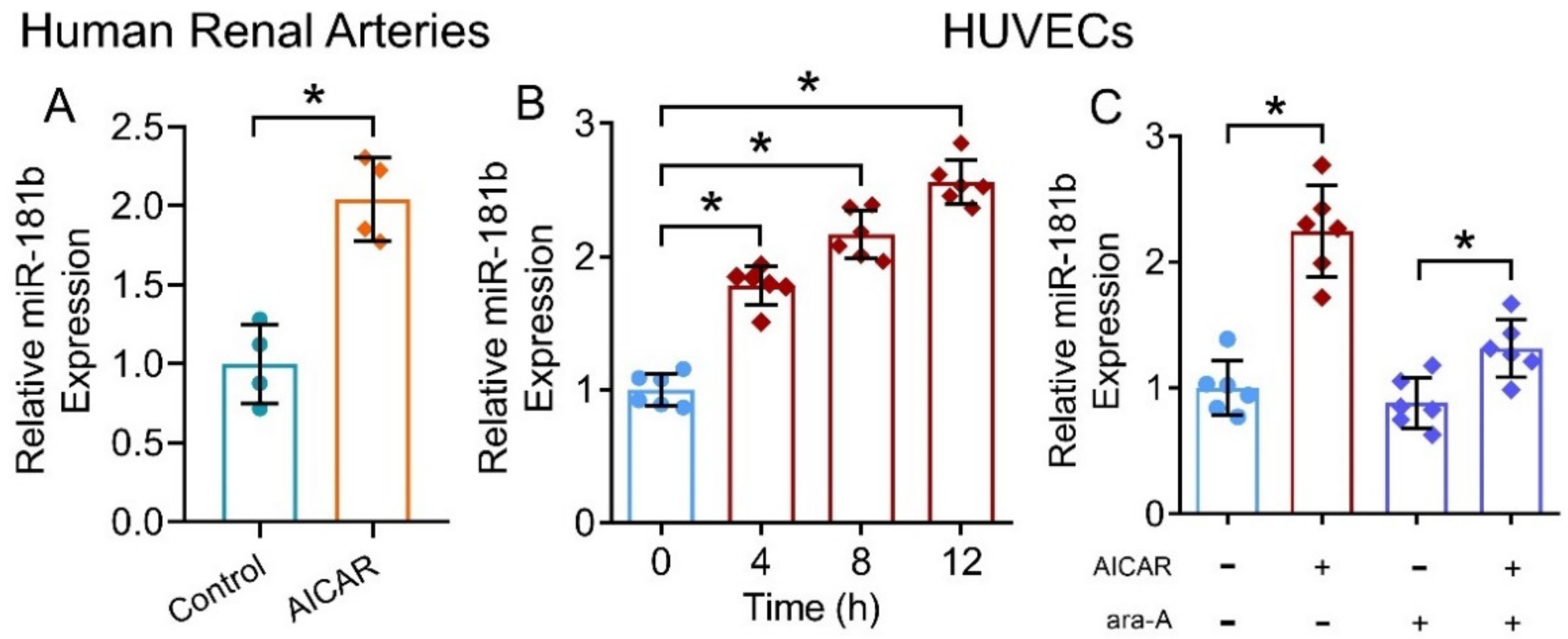 Antioxidants 11 01137 g005