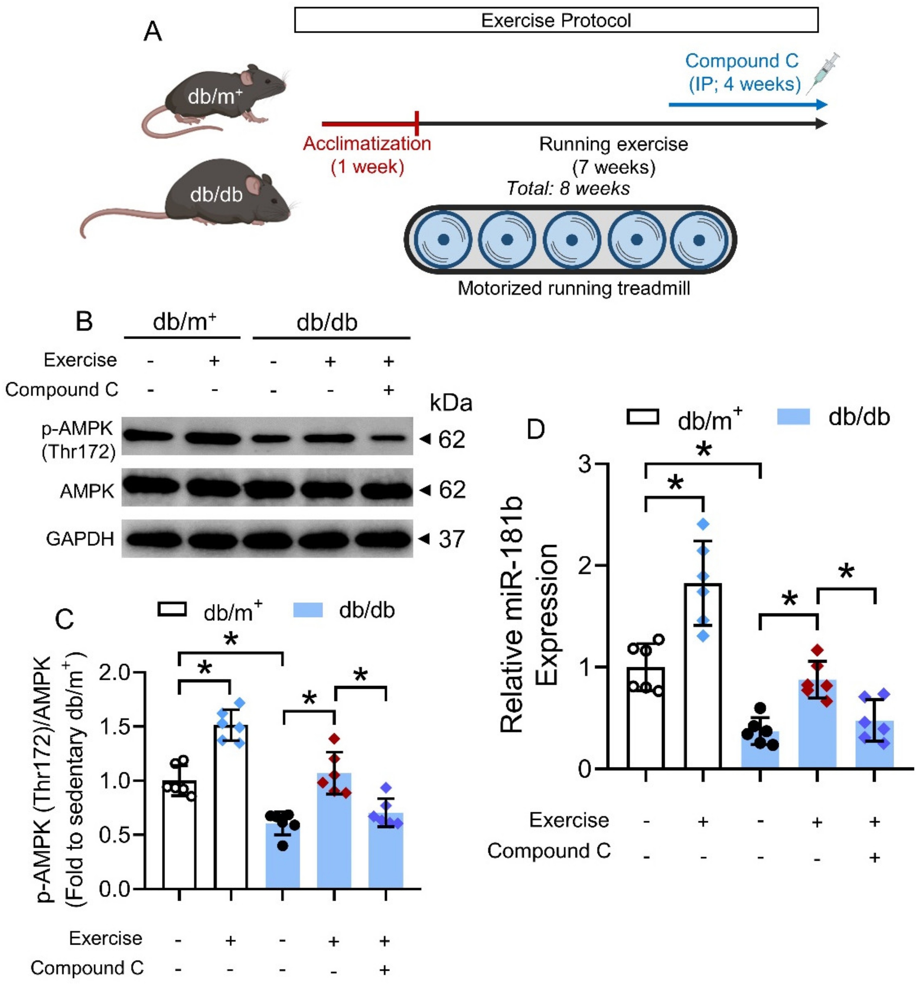 Antioxidants 11 01137 g006