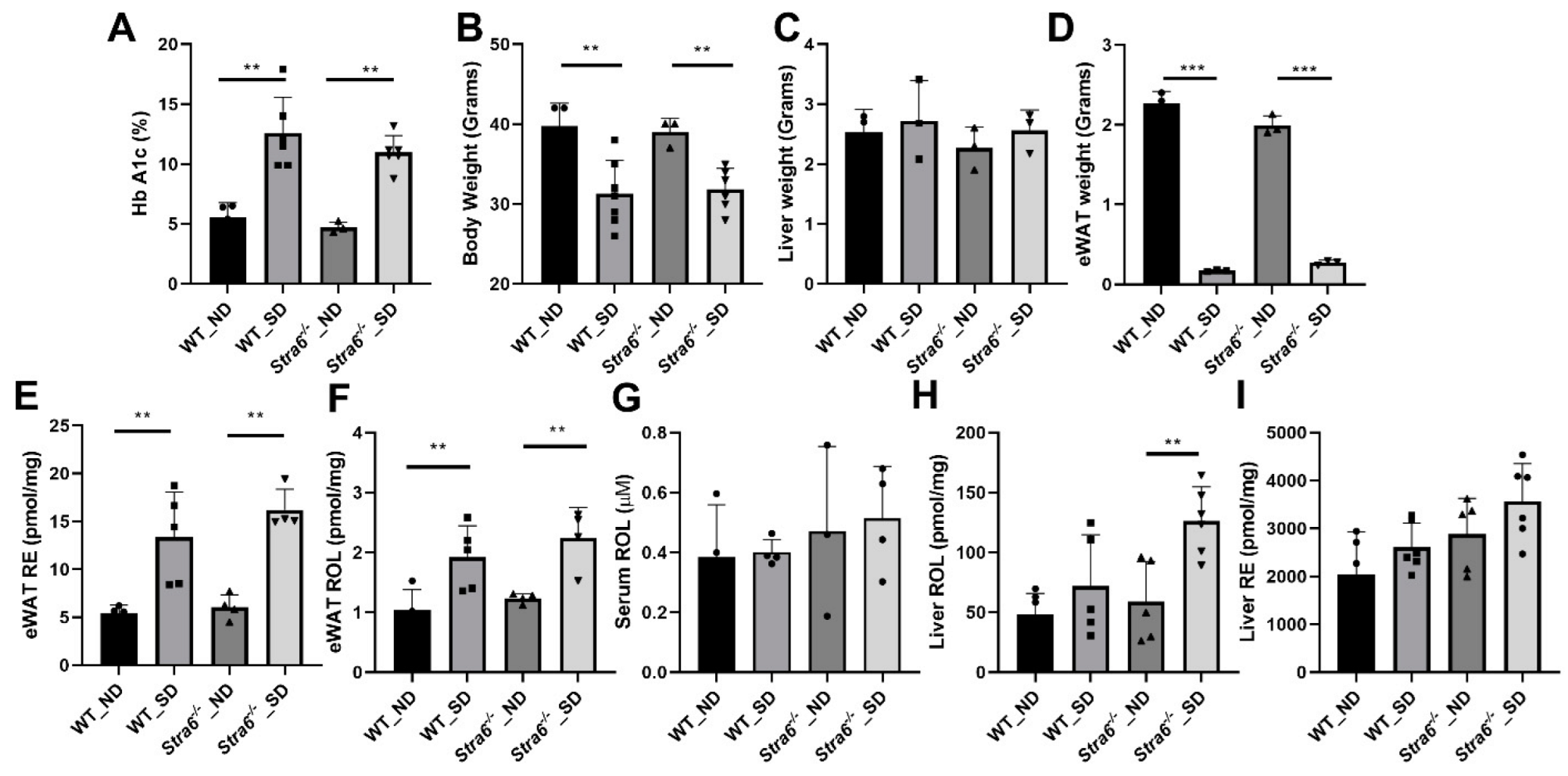 Antioxidants 11 01142 g004