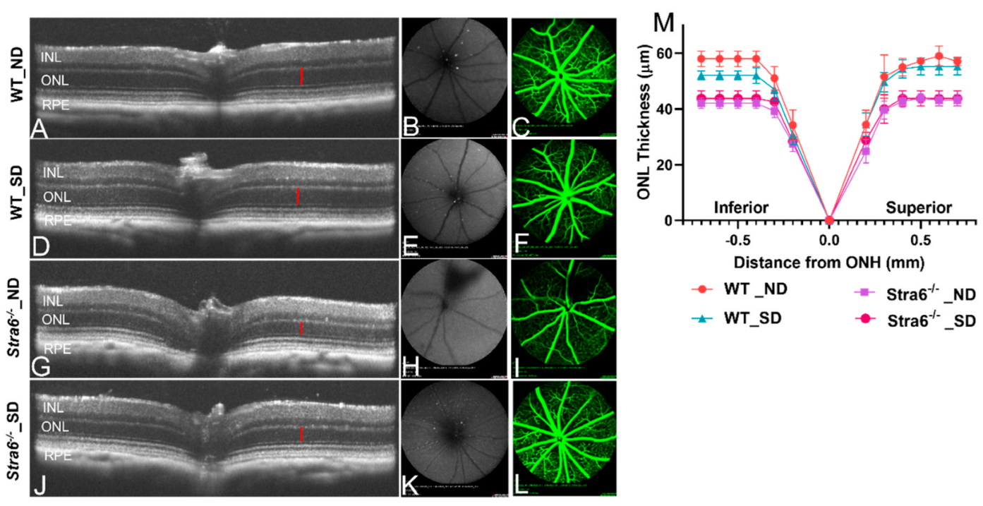 Antioxidants 11 01142 g008