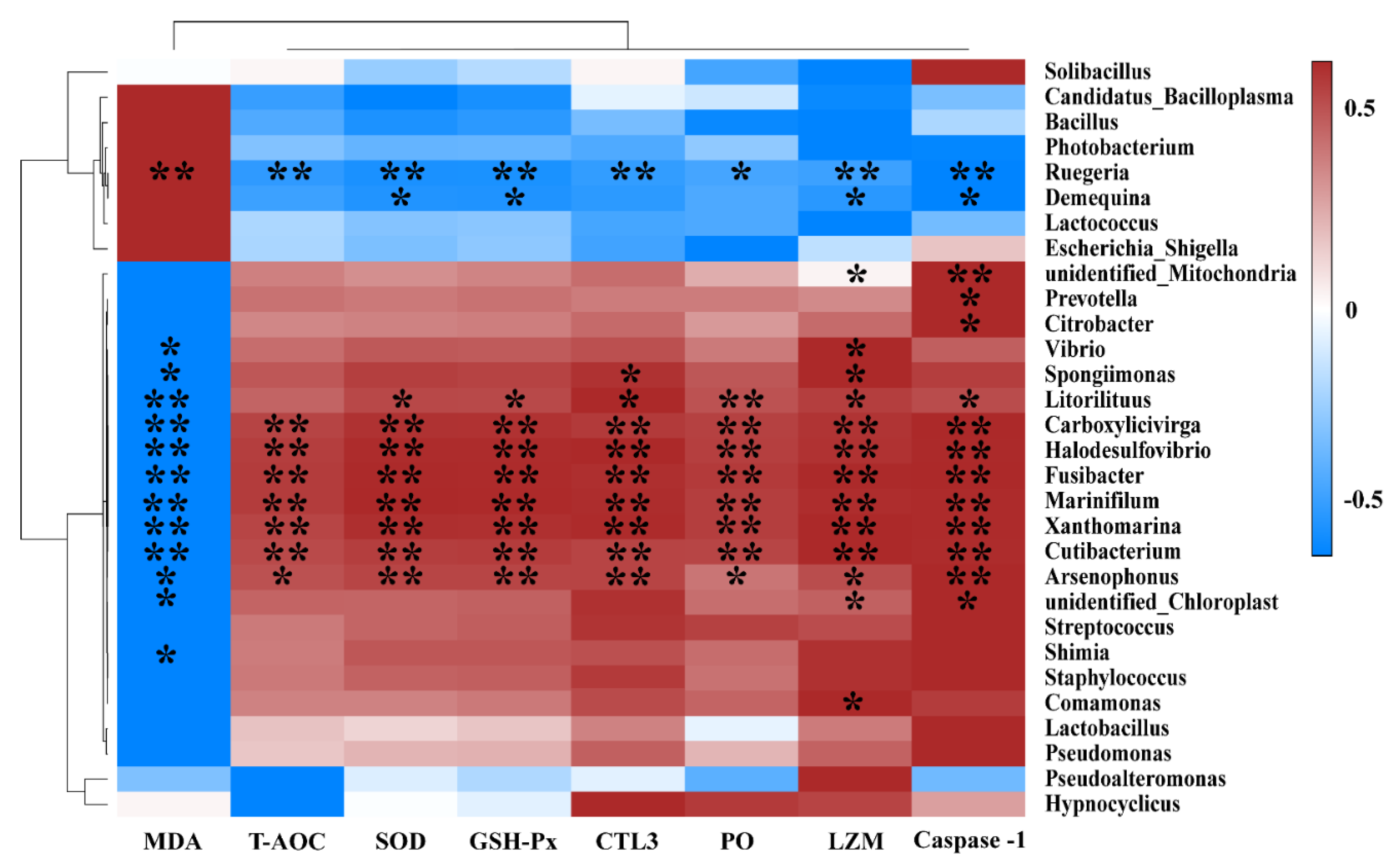 Antioxidants 11 01143 g010 550
