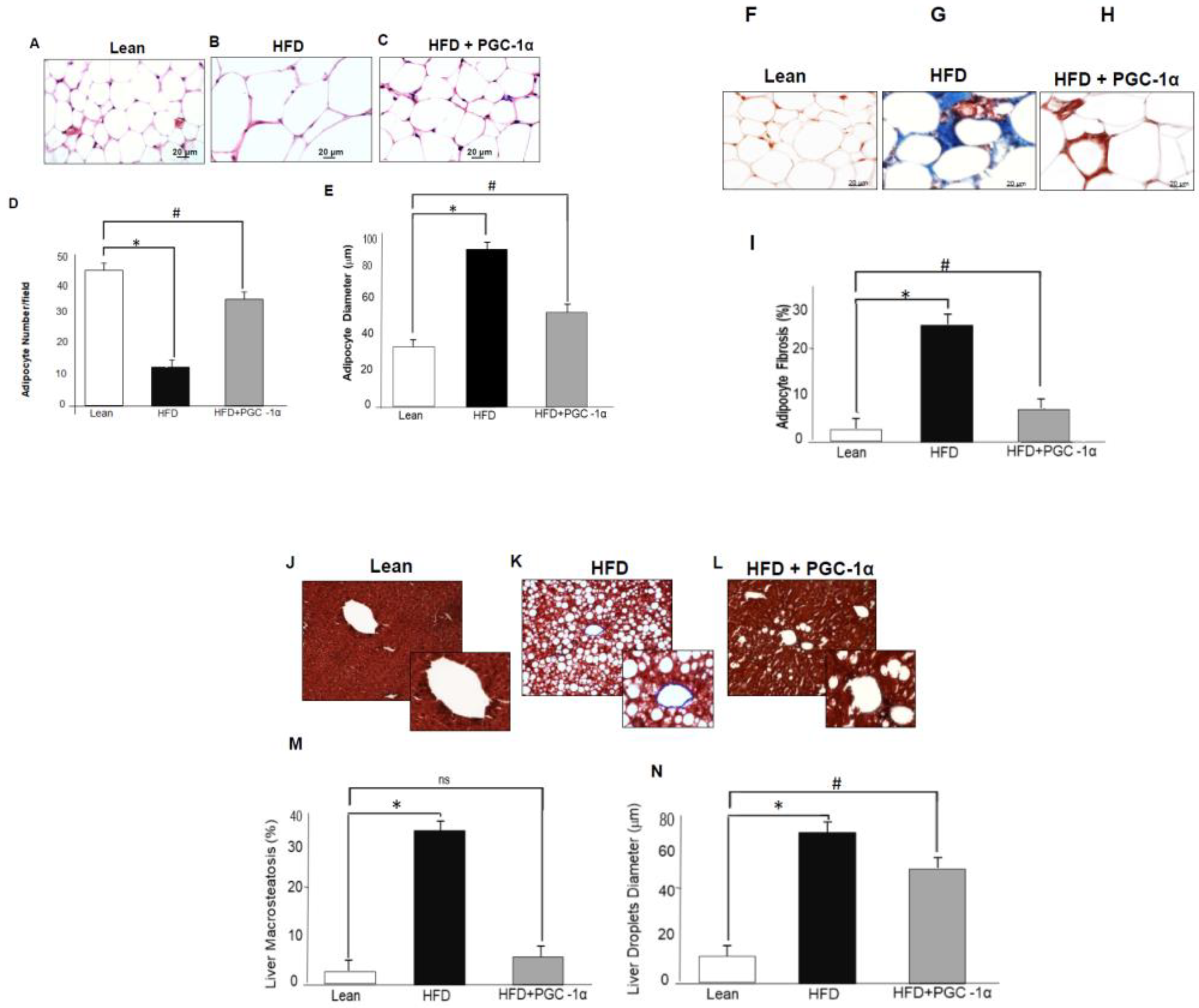 Antioxidants 11 01147 g002 Antioxidants 11 01147 g002