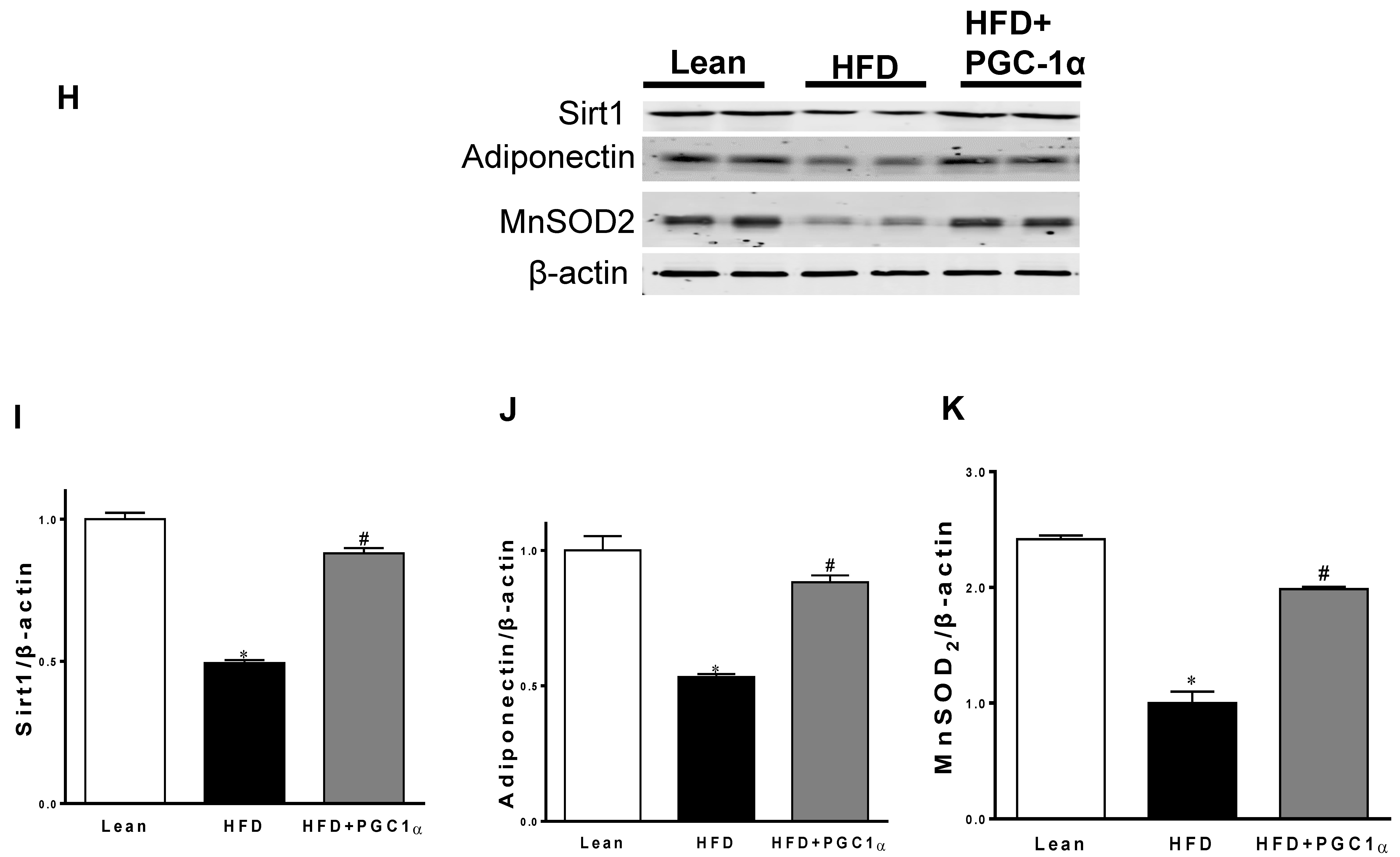 Antioxidants 11 01147 g004c Antioxidants 11 01147 g004c