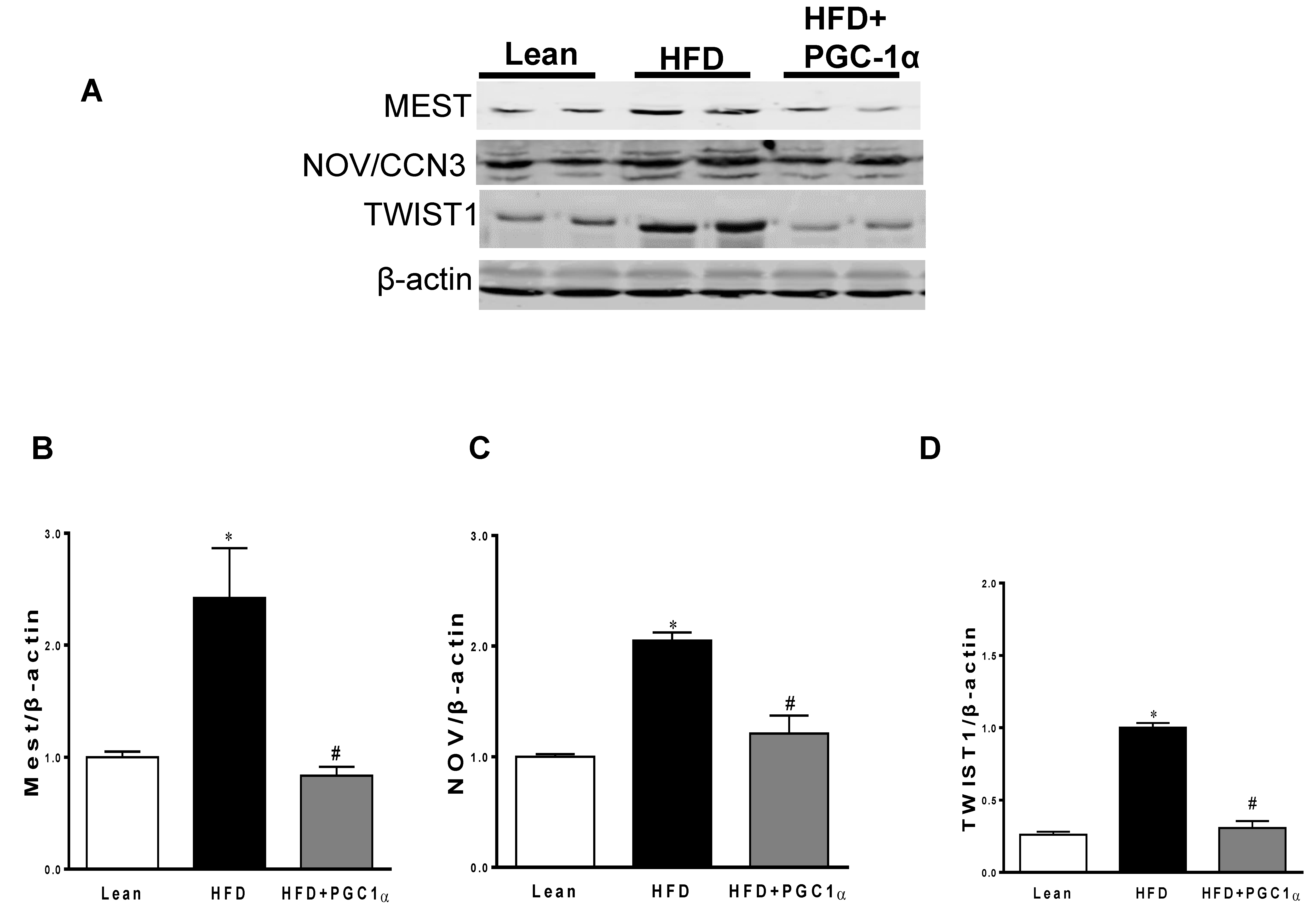 Antioxidants 11 01147 g005a Antioxidants 11 01147 g005a