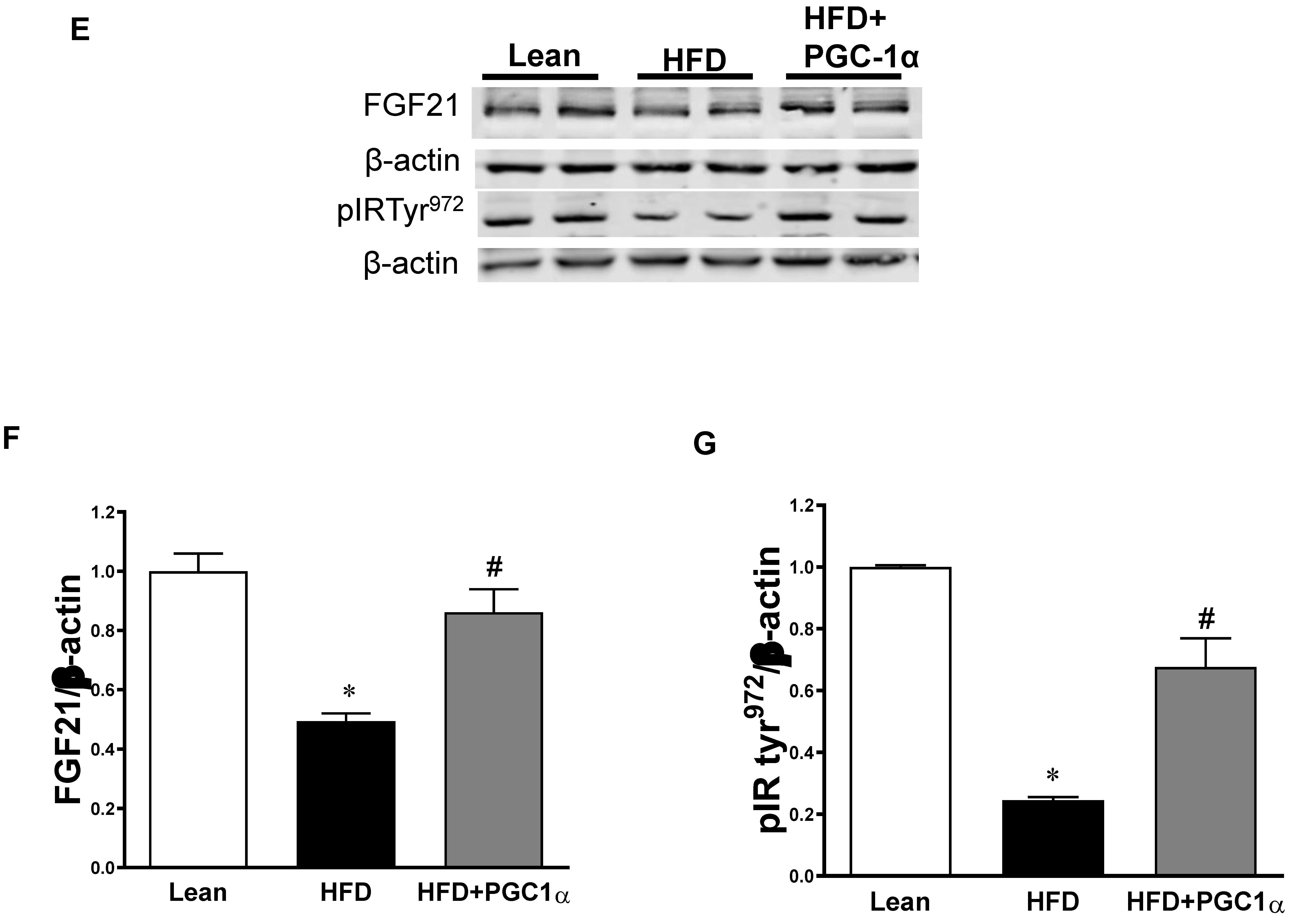 Antioxidants 11 01147 g005b Antioxidants 11 01147 g005b