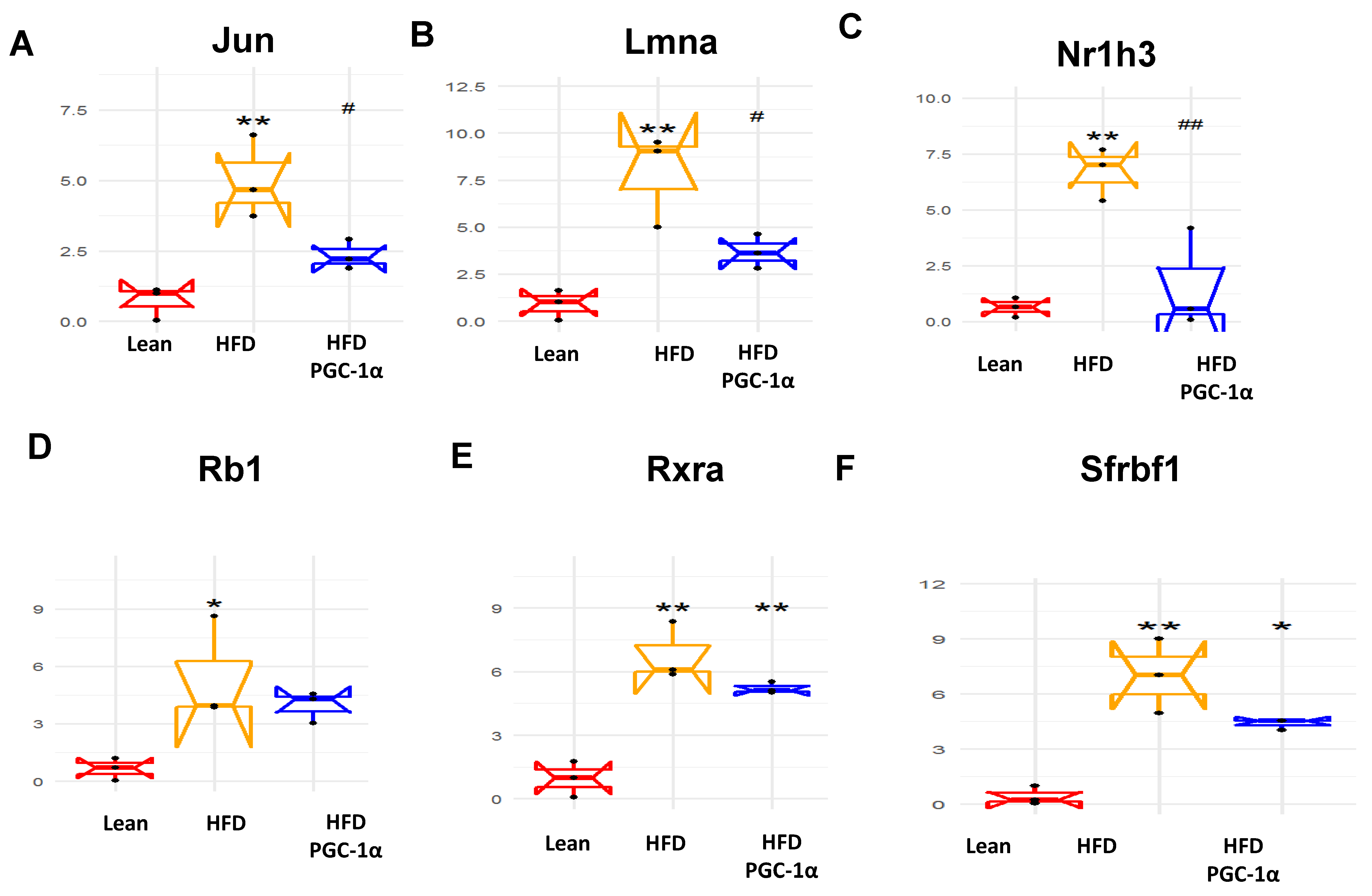 Antioxidants 11 01147 g006 Antioxidants 11 01147 g006