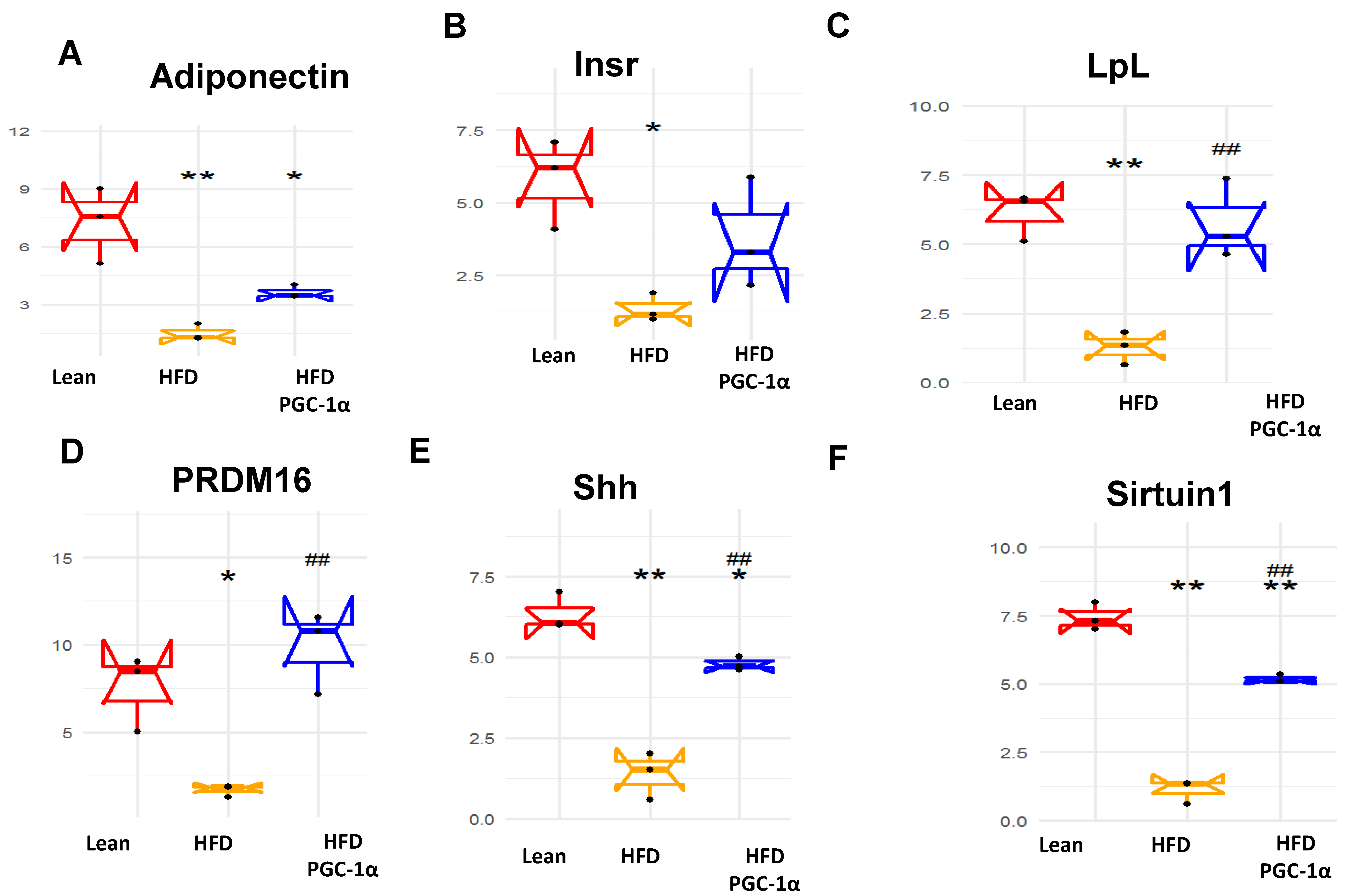Antioxidants 11 01147 g007a Antioxidants 11 01147 g007a