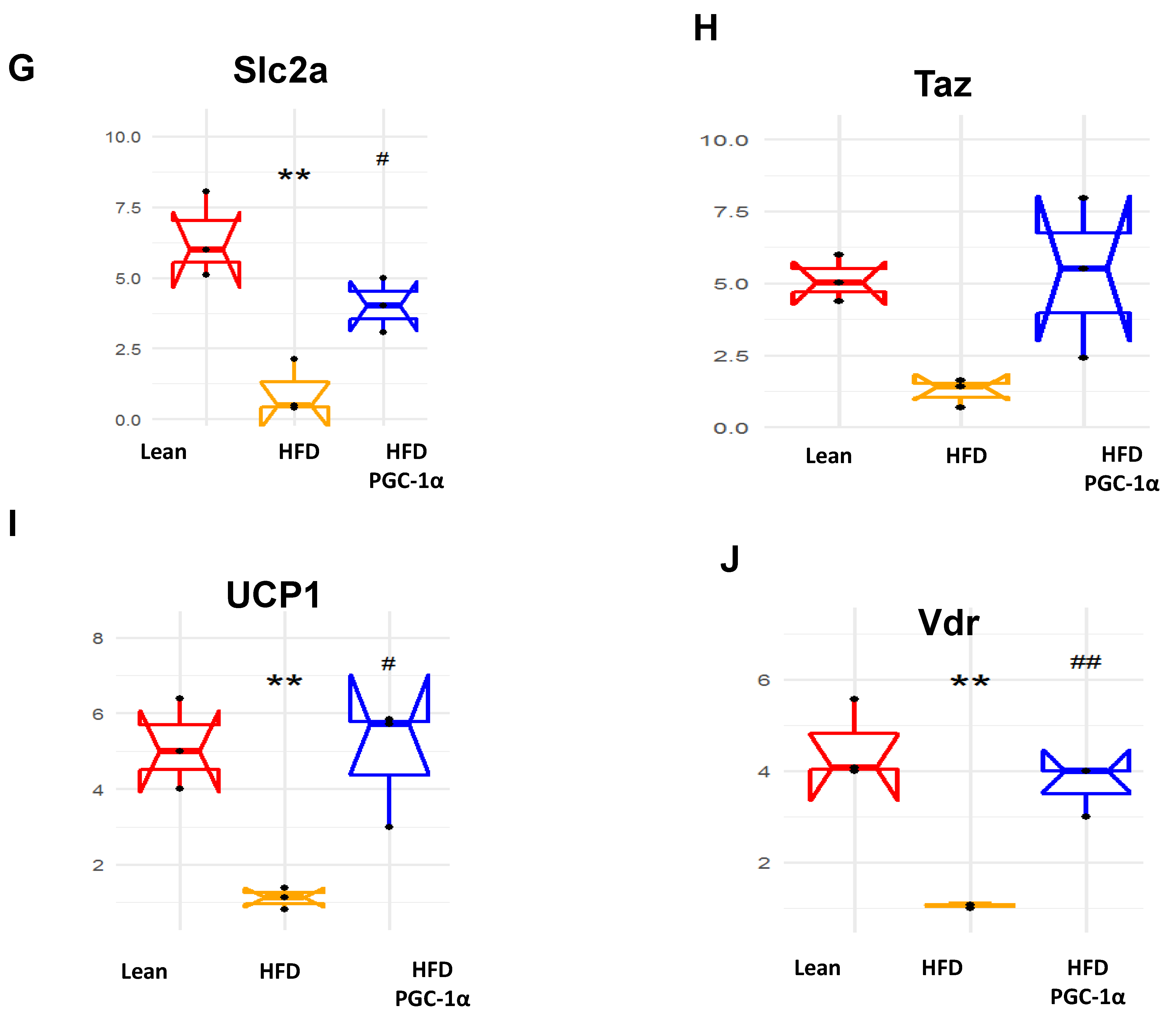 Antioxidants 11 01147 g007b Antioxidants 11 01147 g007b