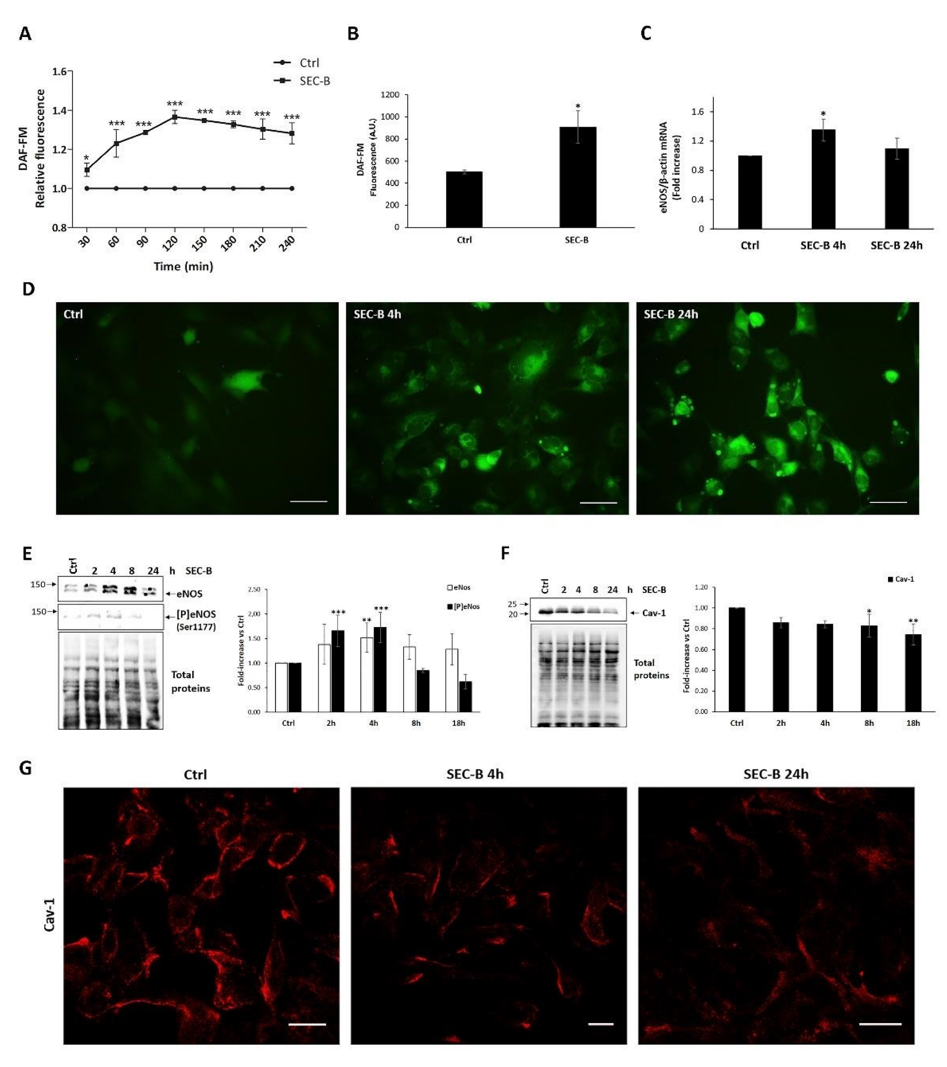 Antioxidants 11 01148 g003 550