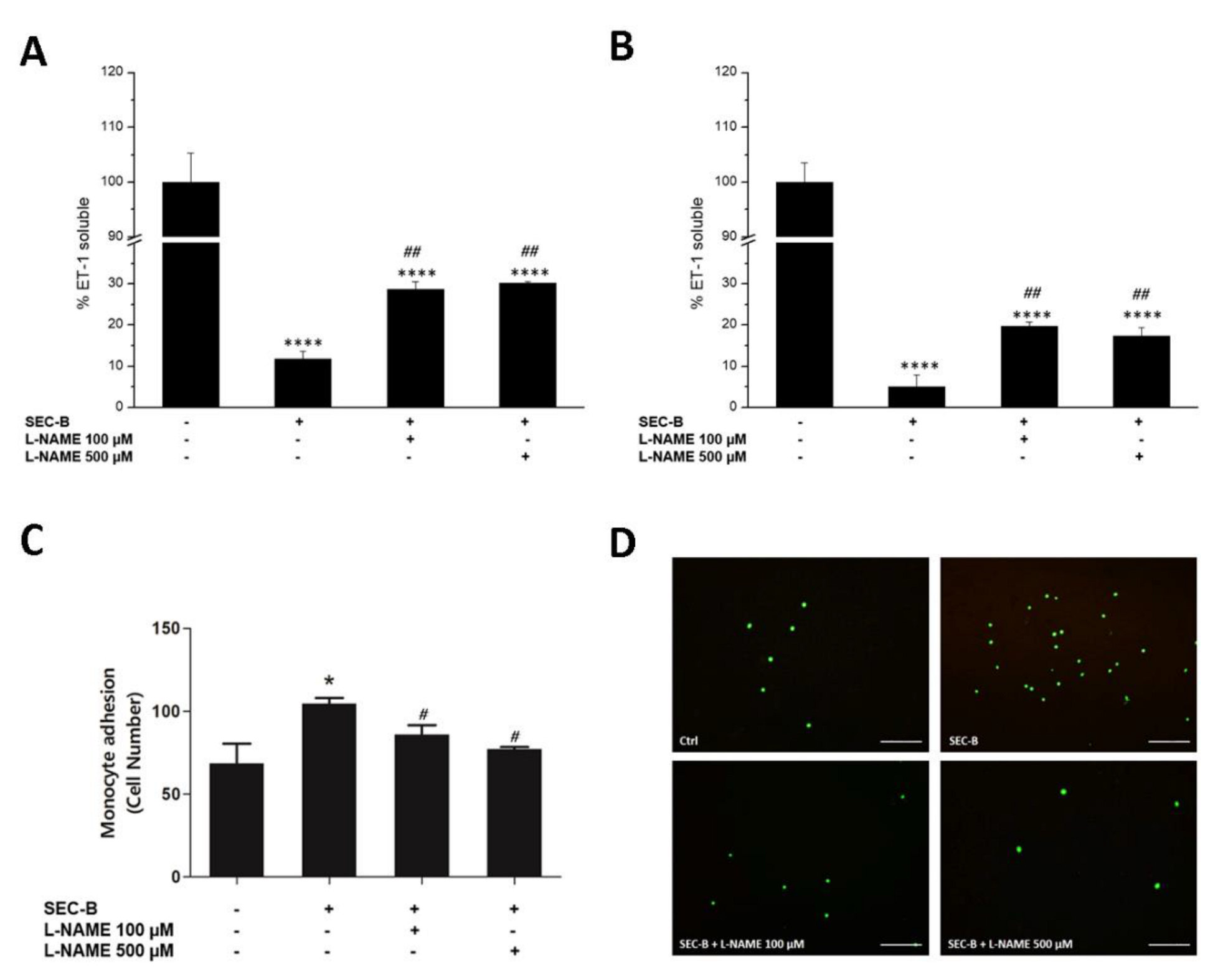 Antioxidants 11 01148 g007 550