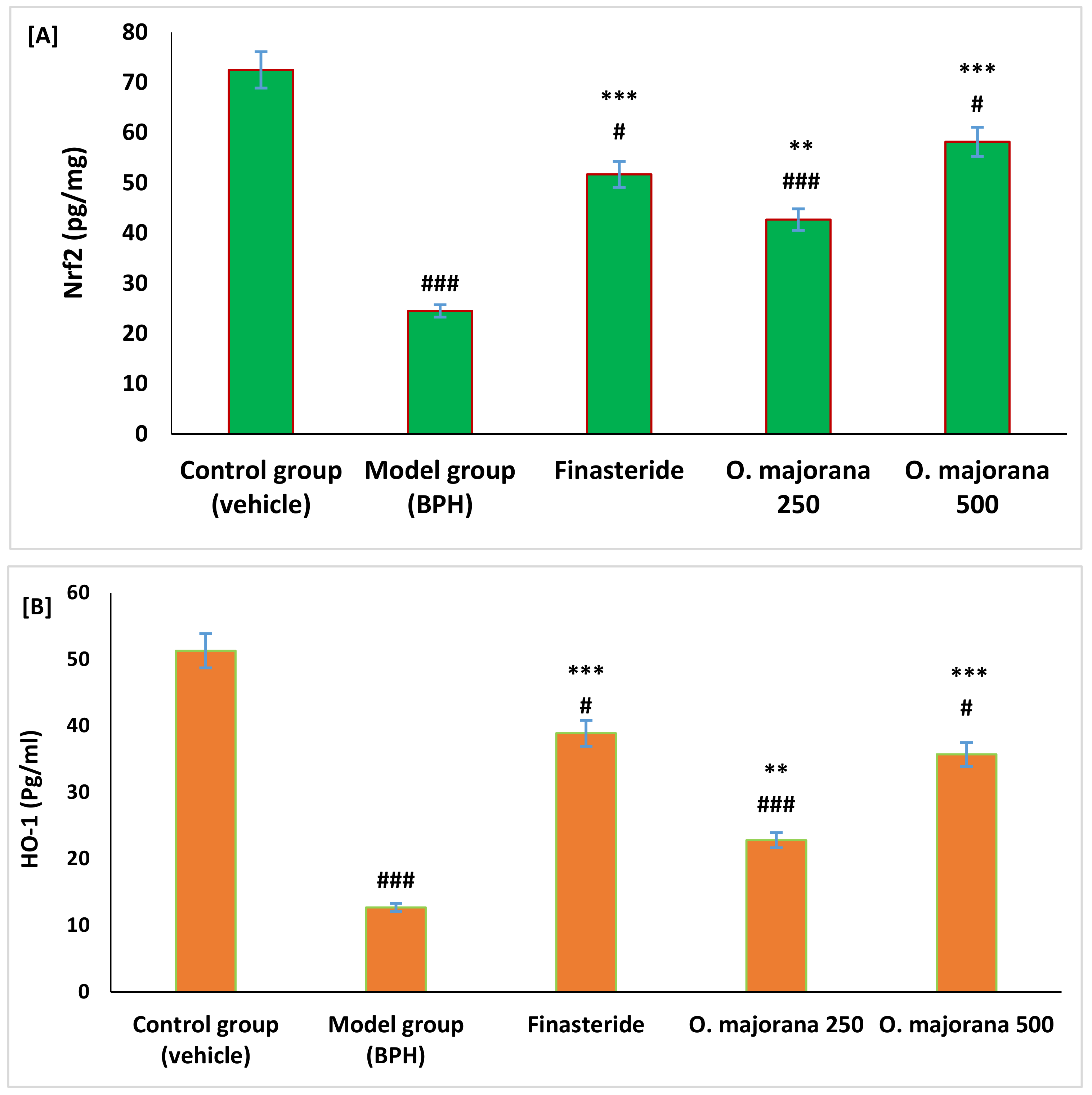 Antioxidants 11 01149 g004