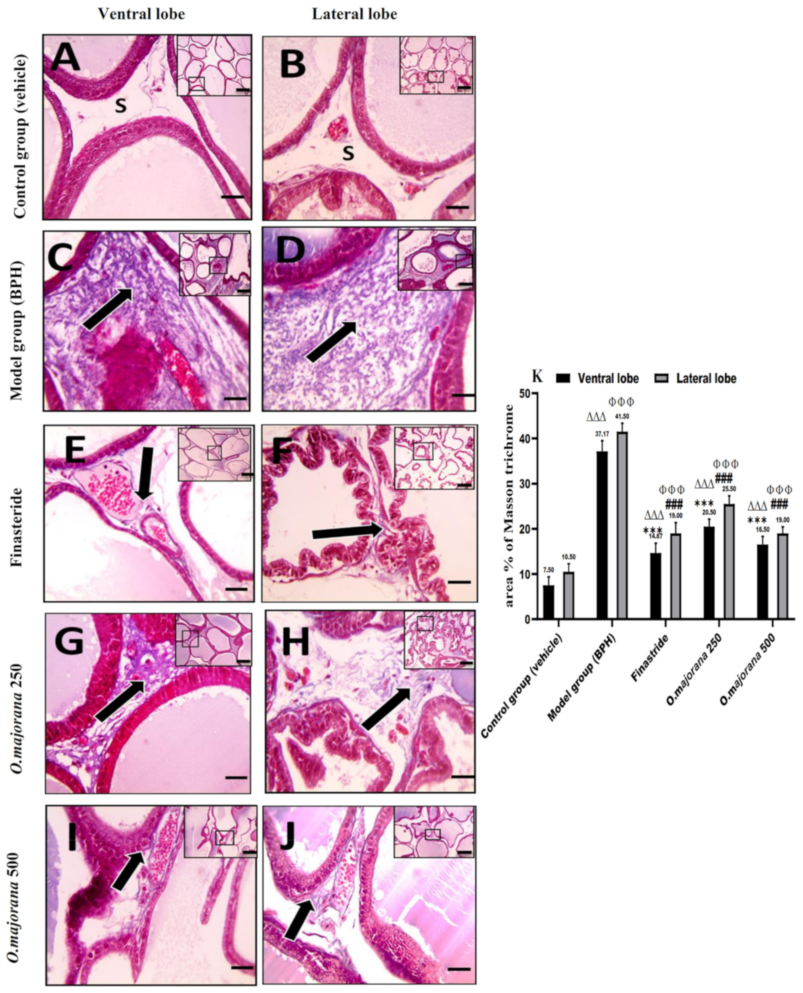 Antioxidants 11 01149 g008