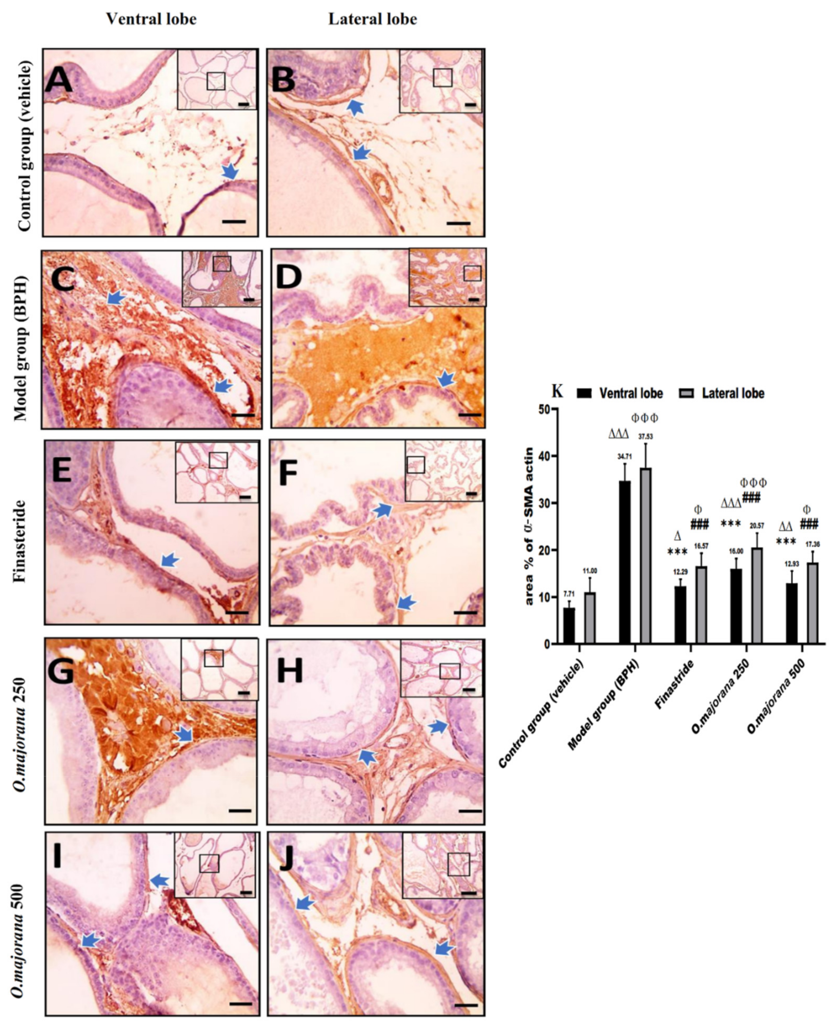 Antioxidants 11 01149 g009