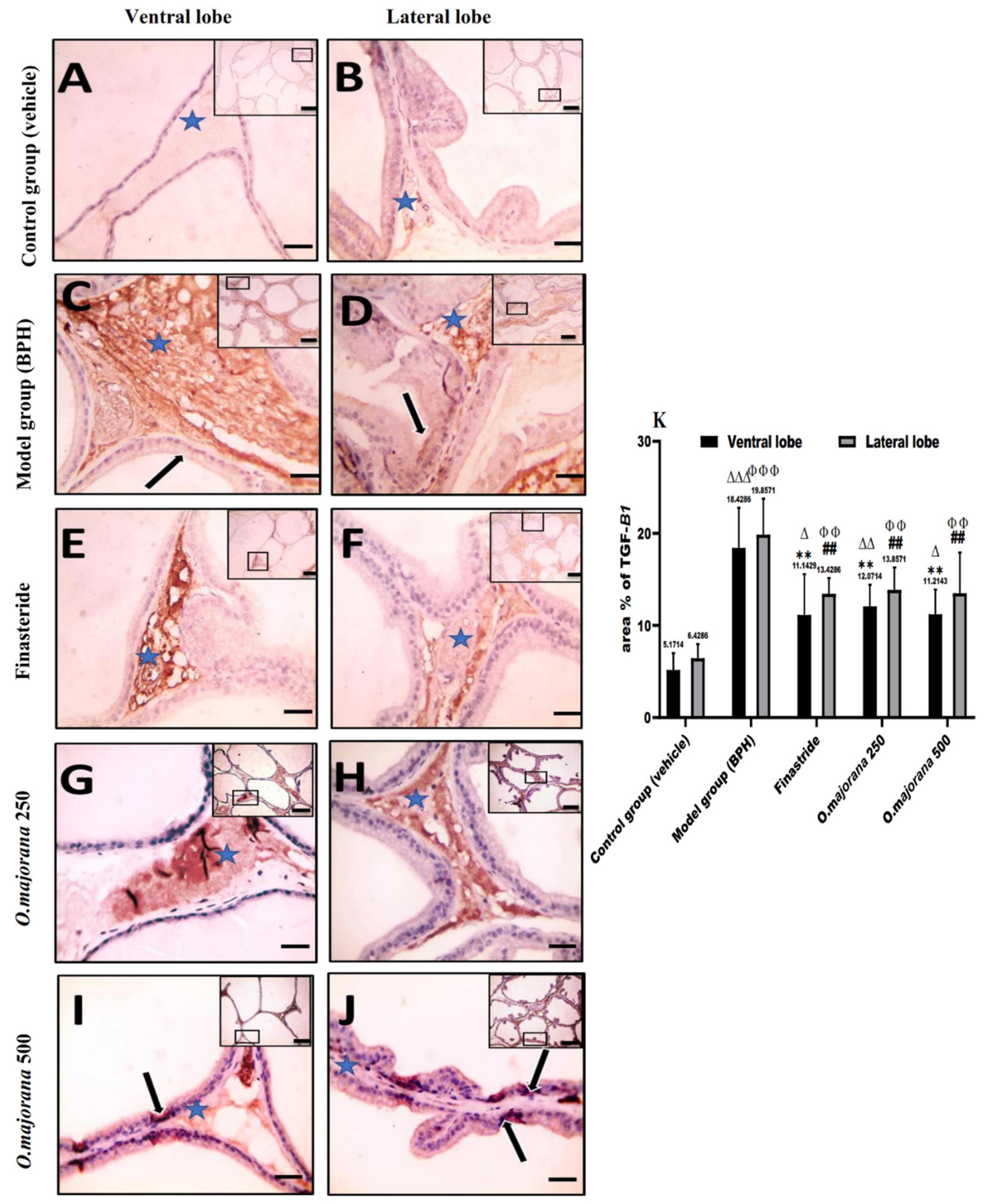 Antioxidants 11 01149 g010