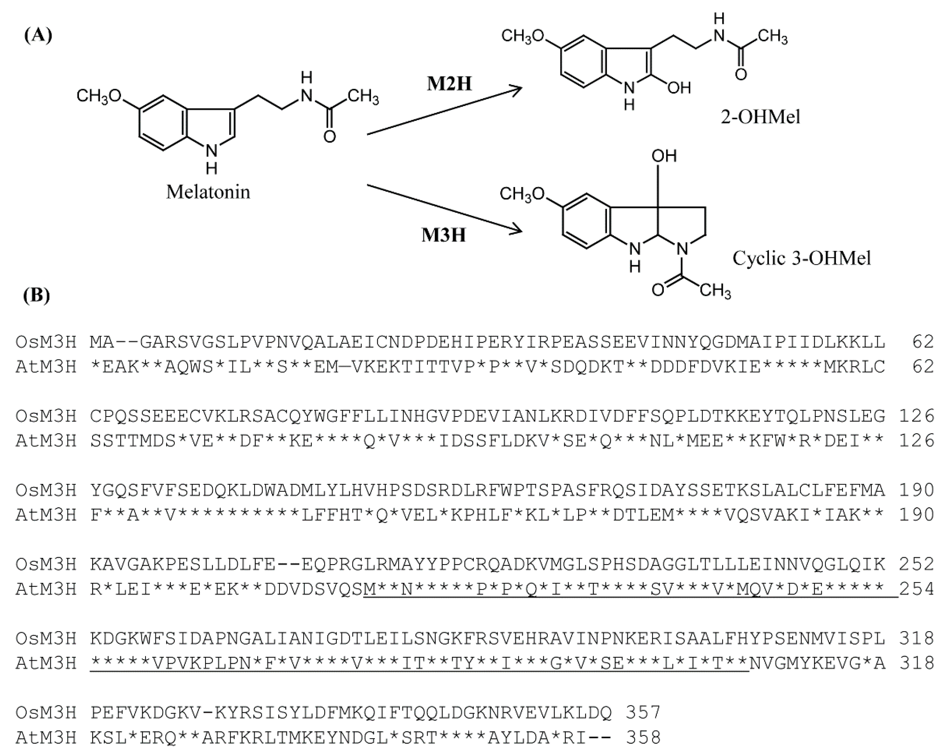 Antioxidants 11 01157 g001 550