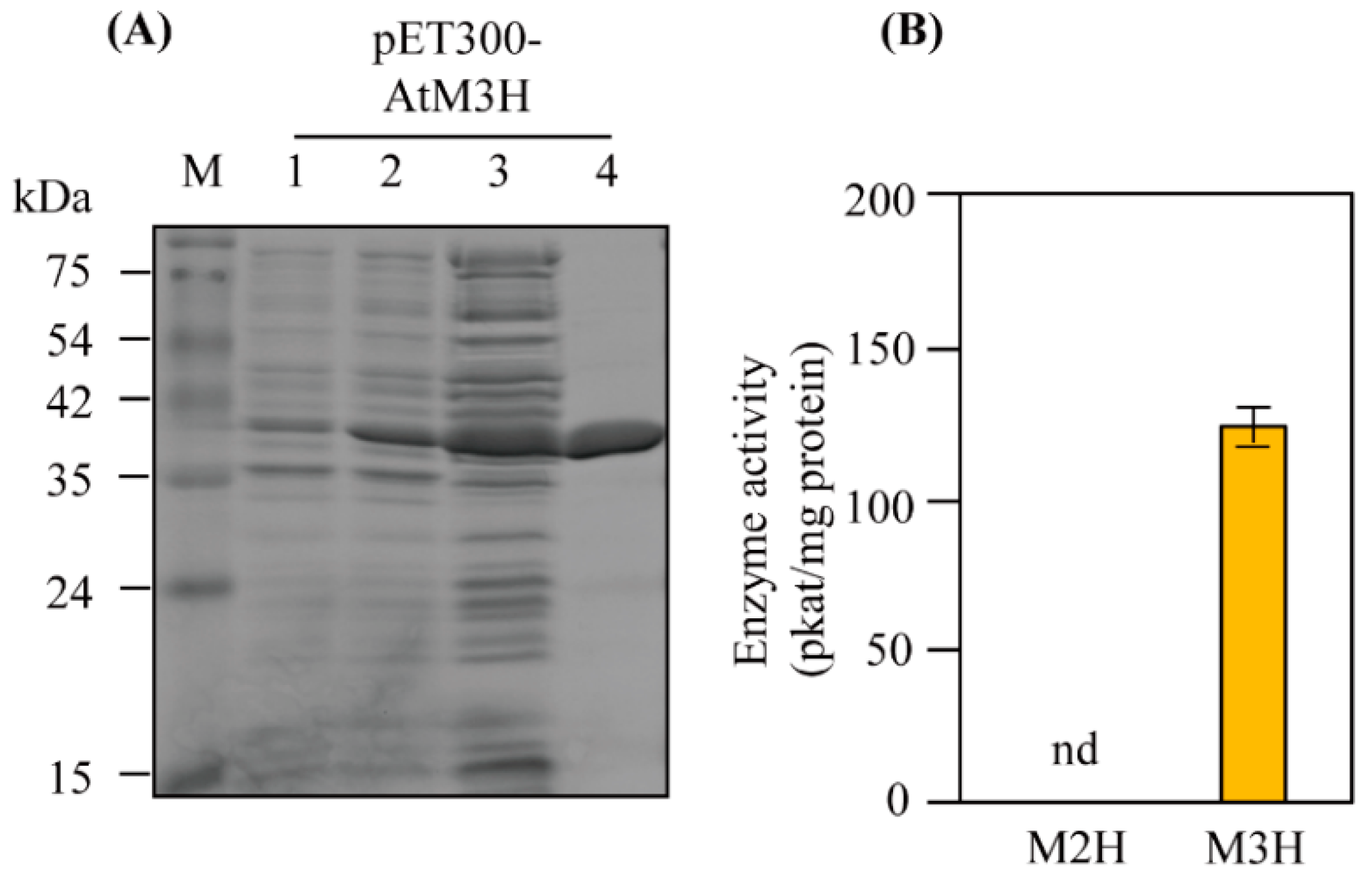 Antioxidants 11 01157 g002 550
