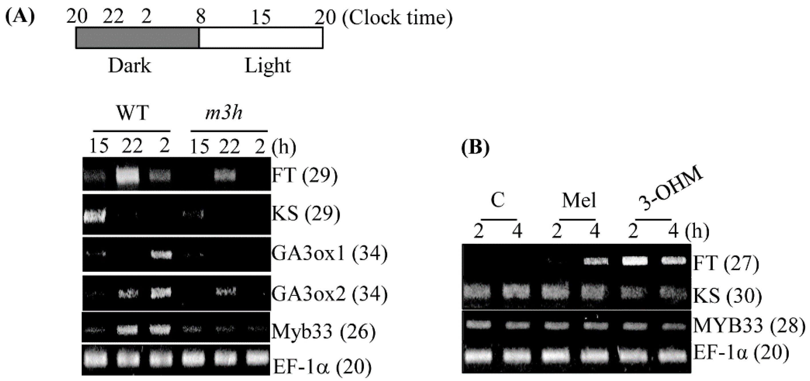 Antioxidants 11 01157 g009 550