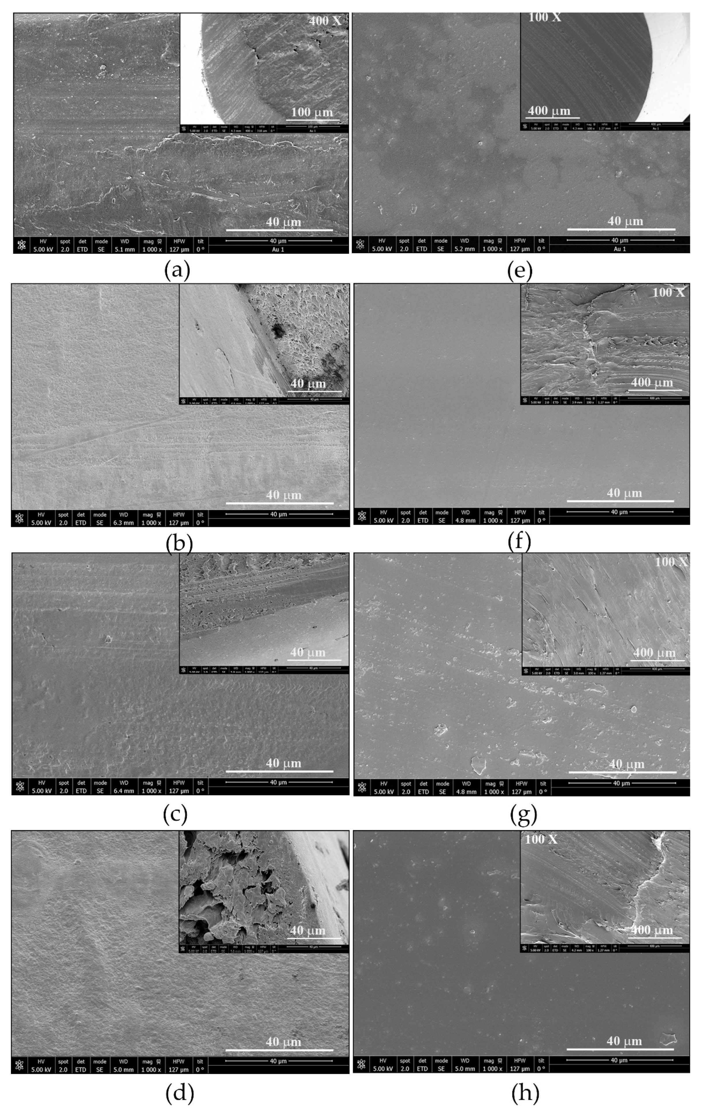Antioxidants 11 01170 g006 550